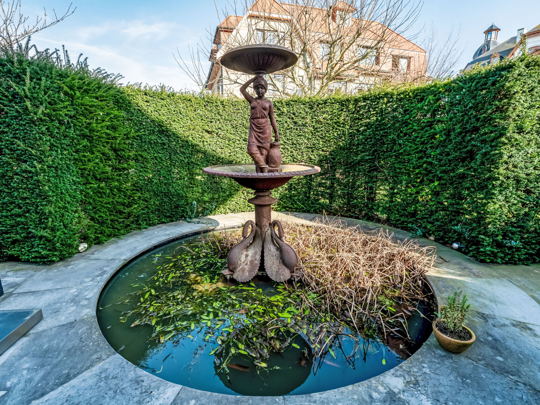 Photo of Chante le Coq