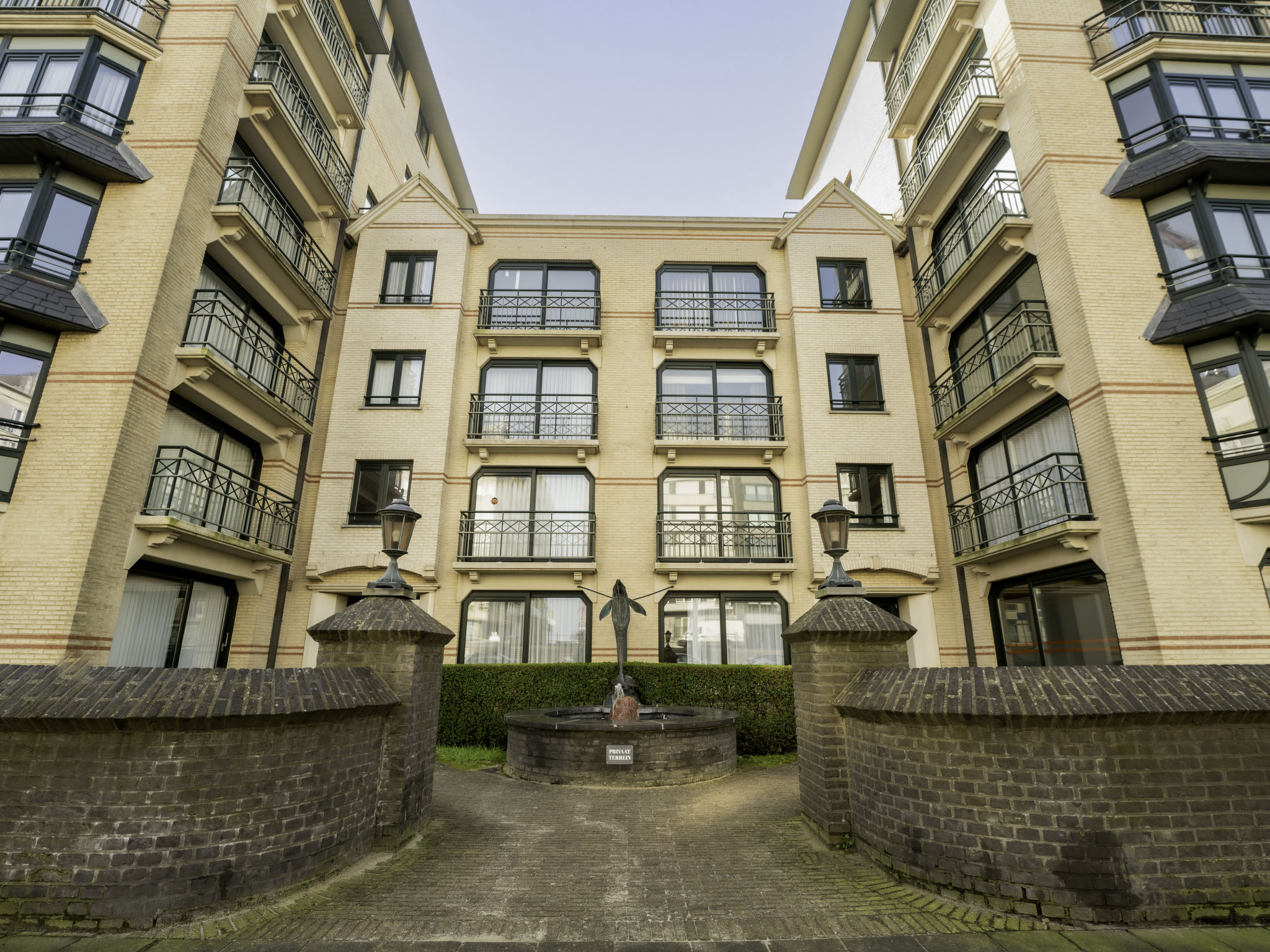 Photo of Flipper nearby the beach