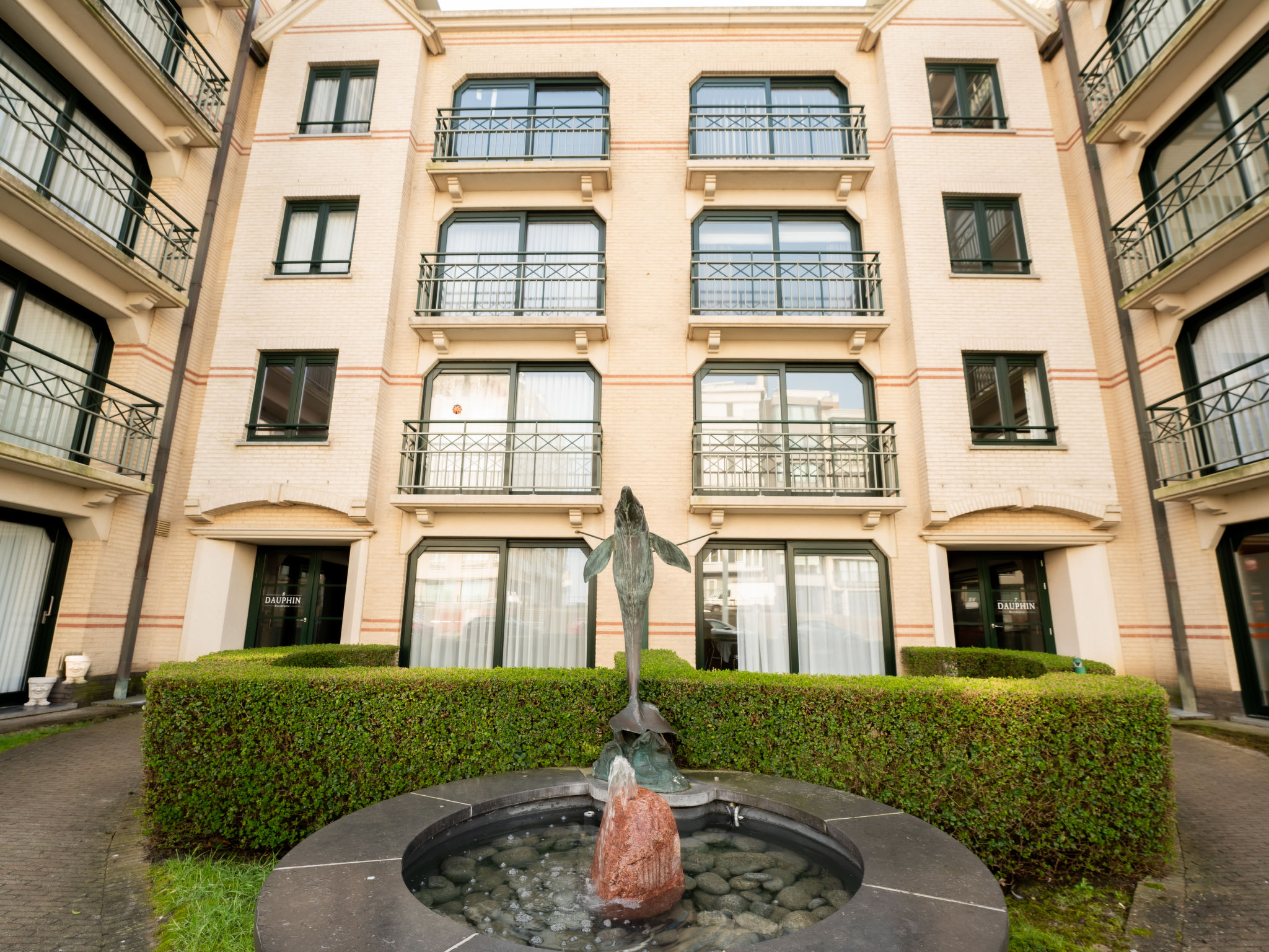 Photo of Flipper nearby the beach