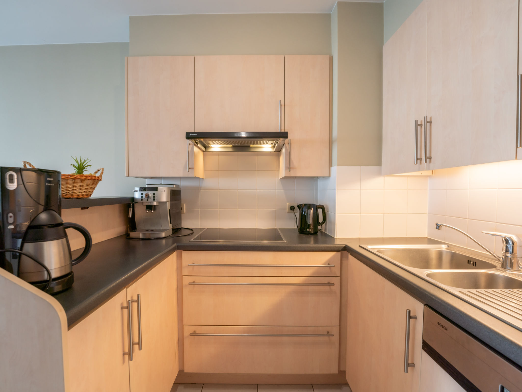 Photo of Flipper nearby the beach