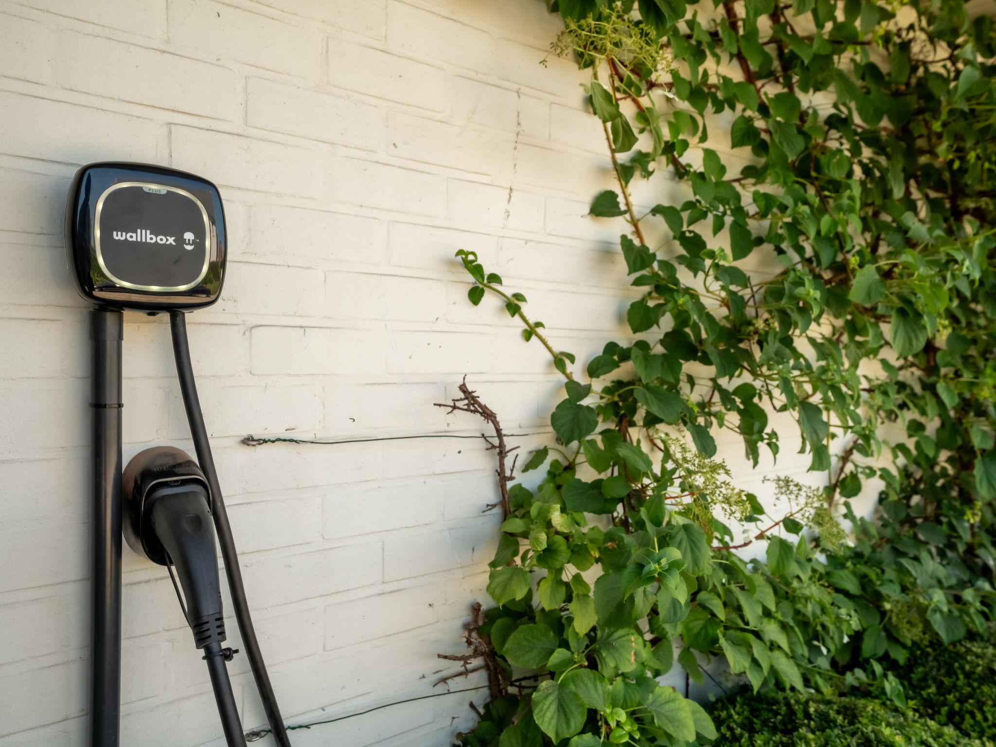 Photo of Villa Rosetree with sauna and pool table