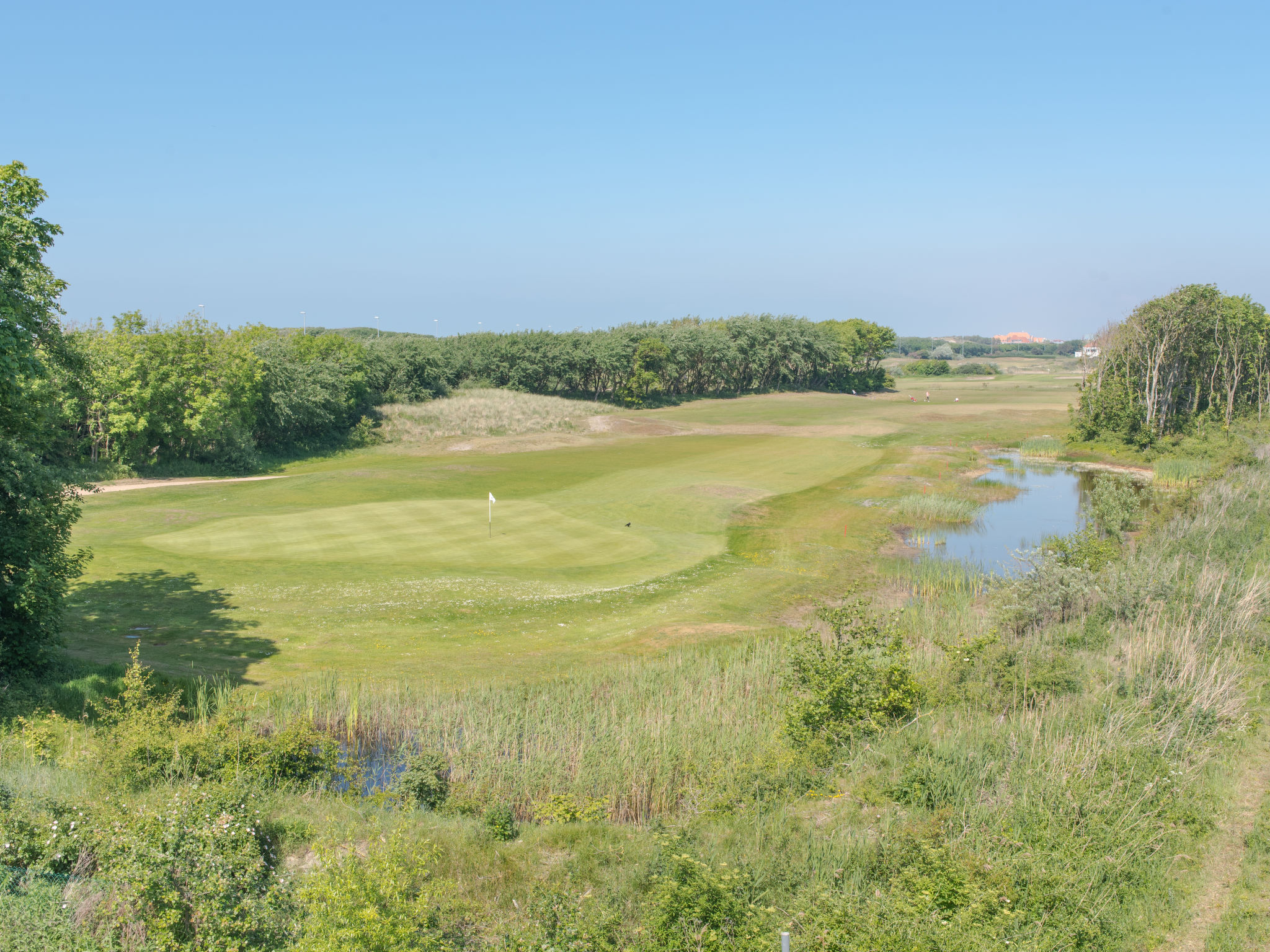 Photo of Goldsands II 302 with parking