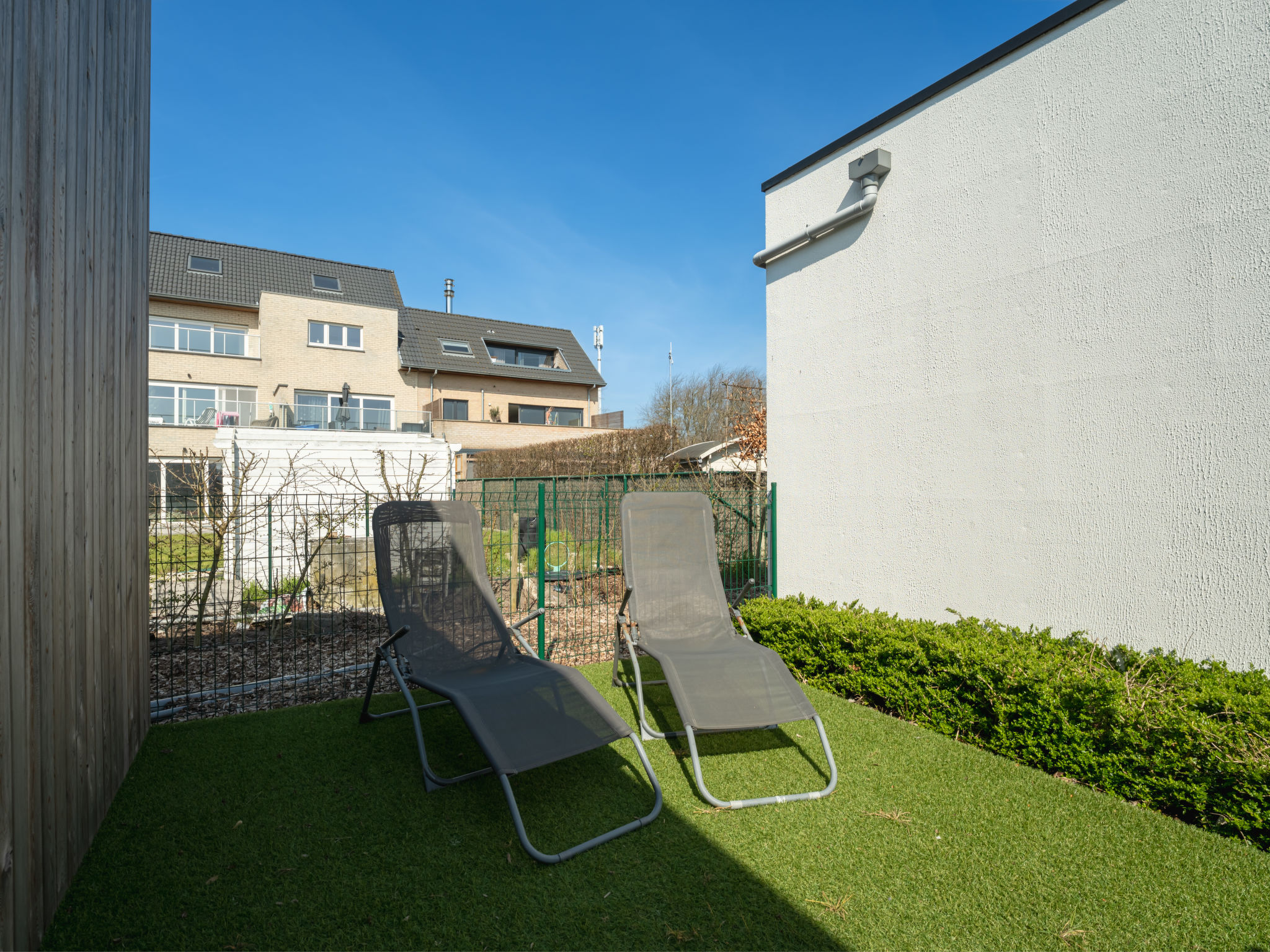 Photo of New Dahlia 8