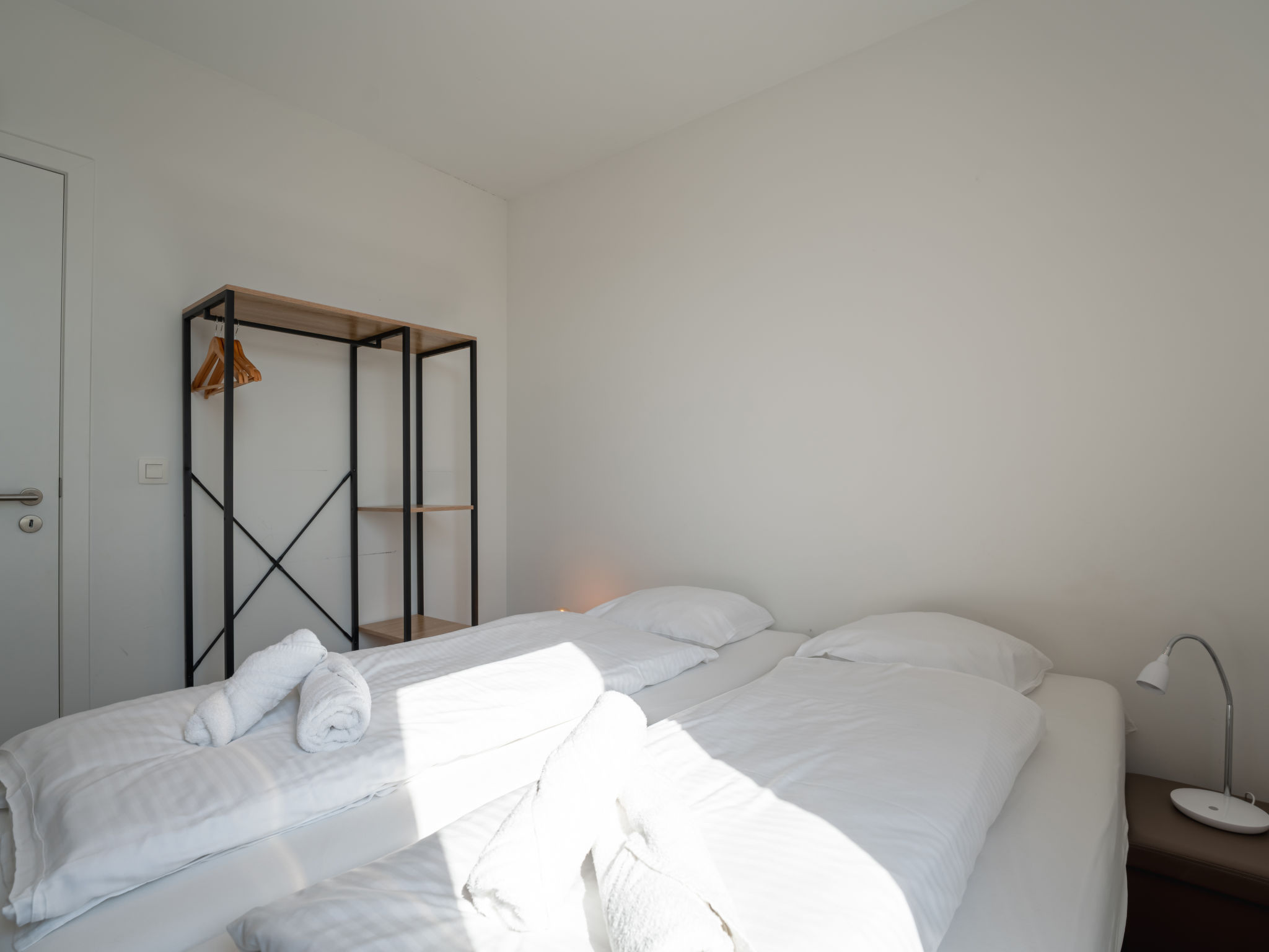 Photo of New Dahlia 8