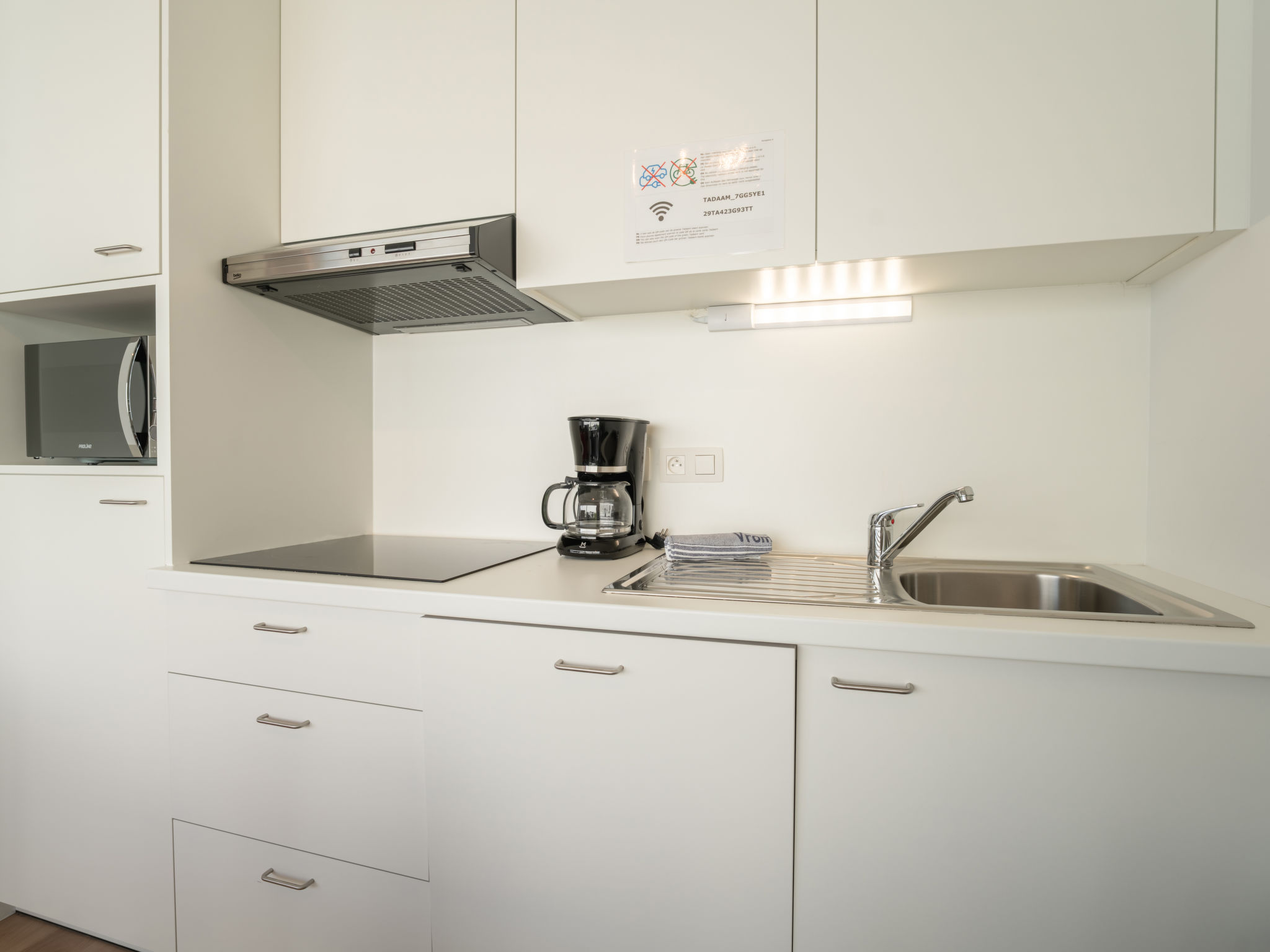 Photo of New Dahlia 8