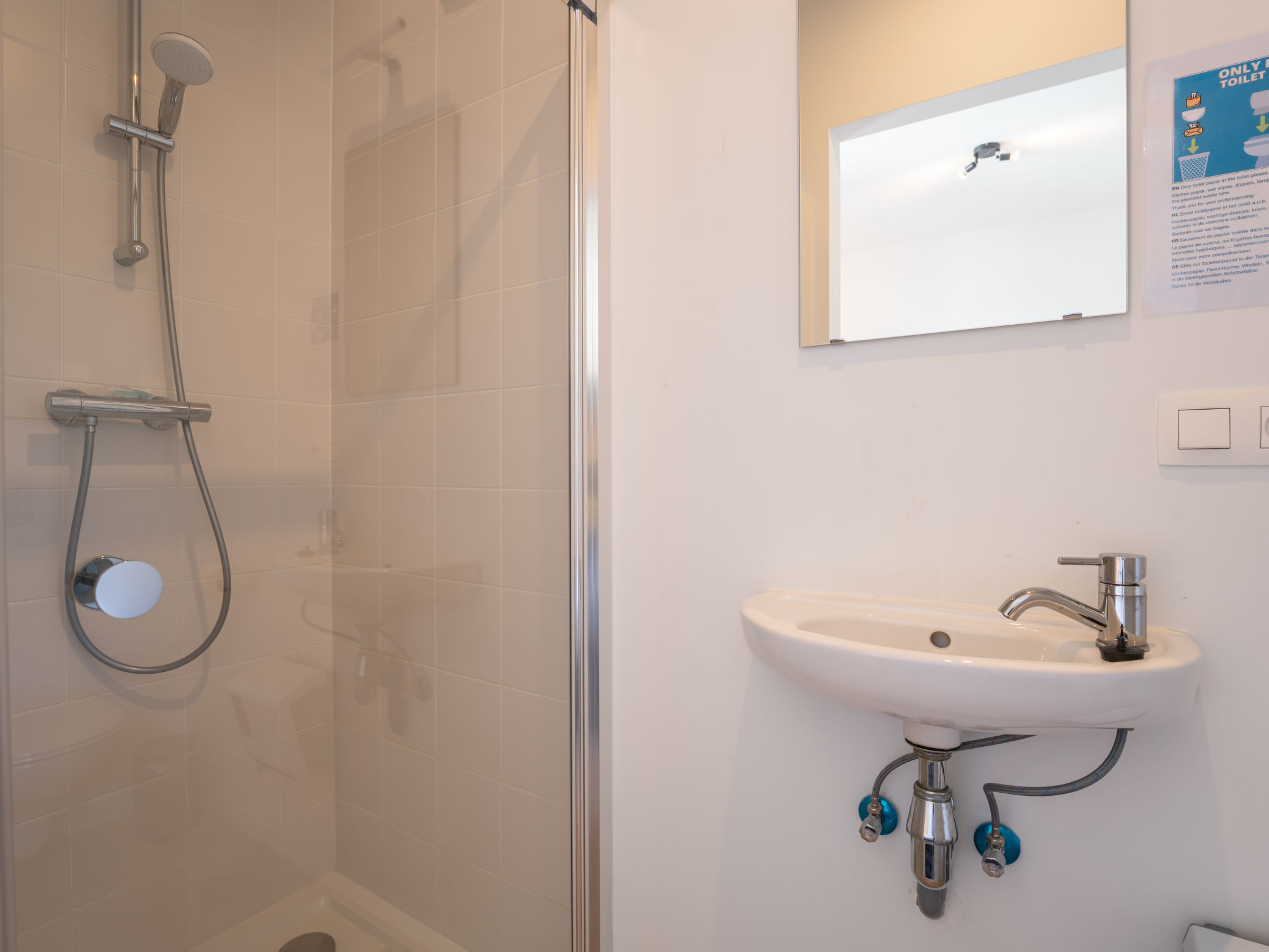 Photo of New Dahlia 8