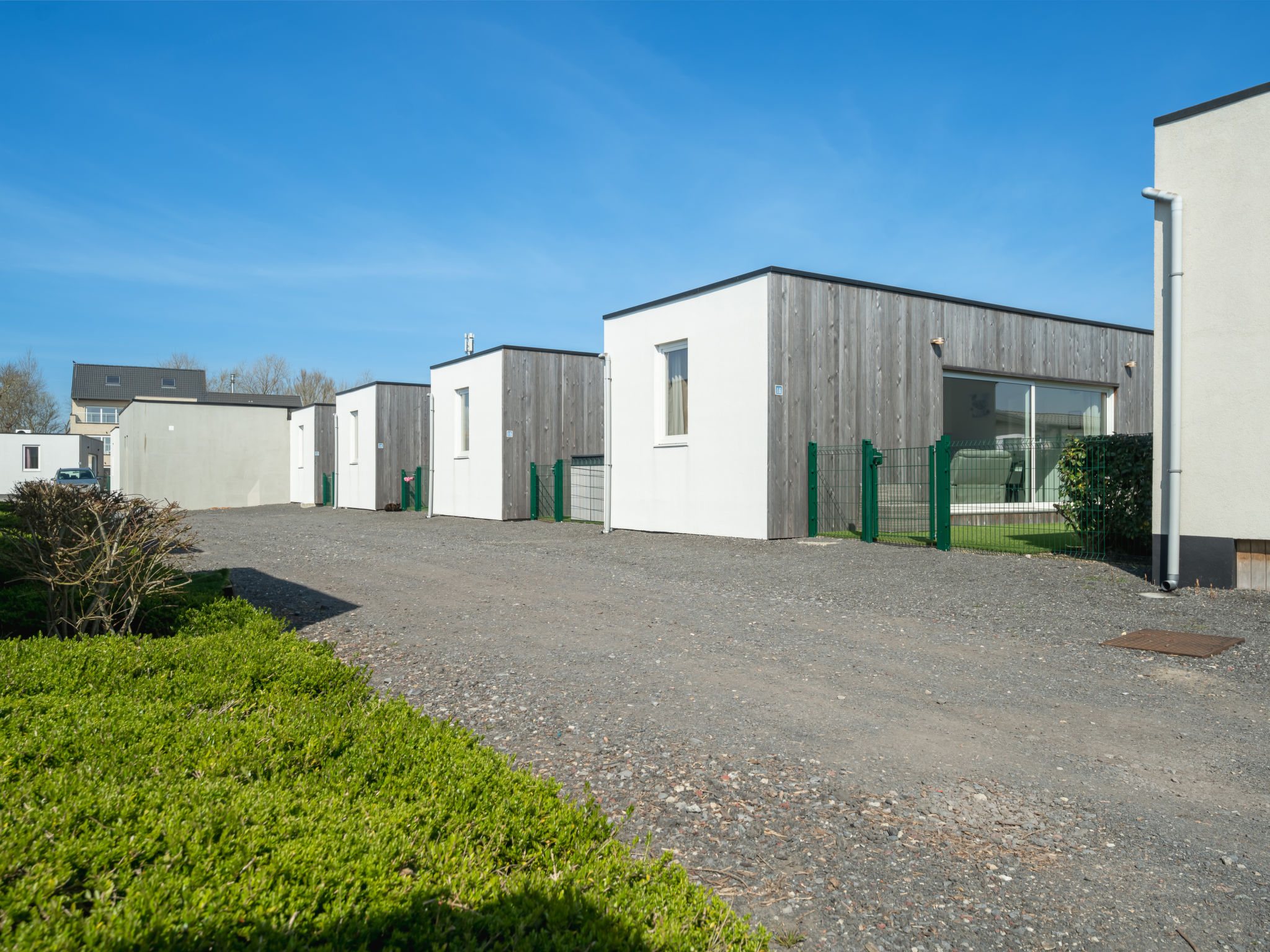 Photo of New Dahlia 8