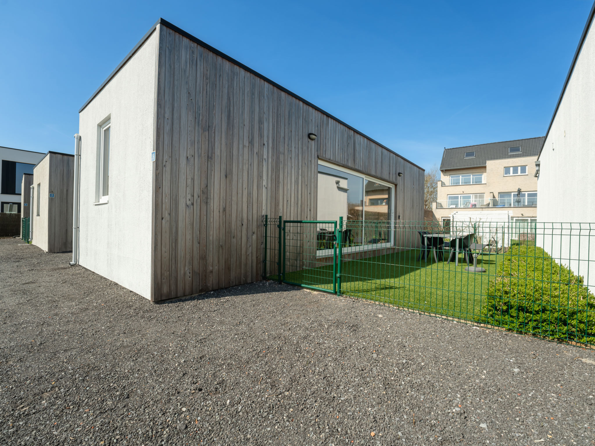 Photo of New Dahlia 8