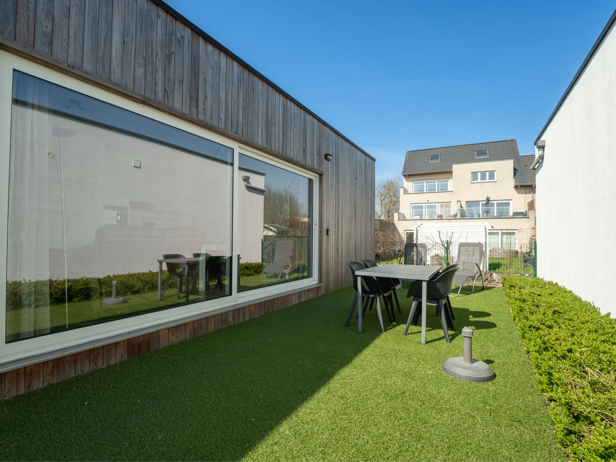 Photo of New Dahlia 8