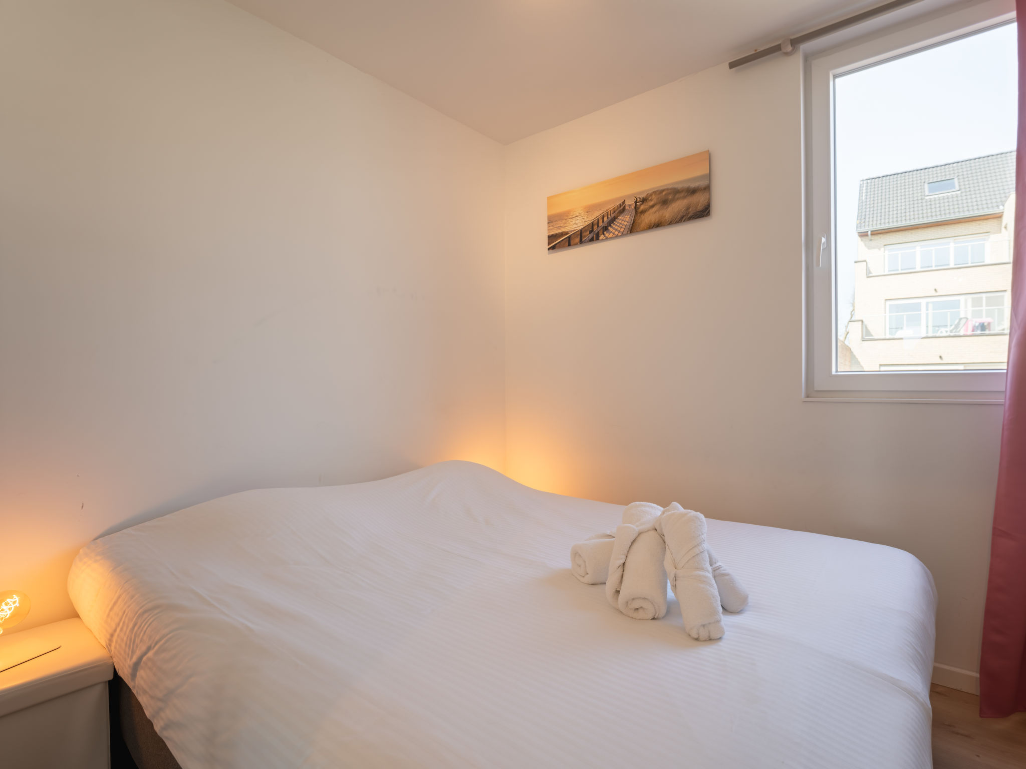 Photo of New Dahlia 8