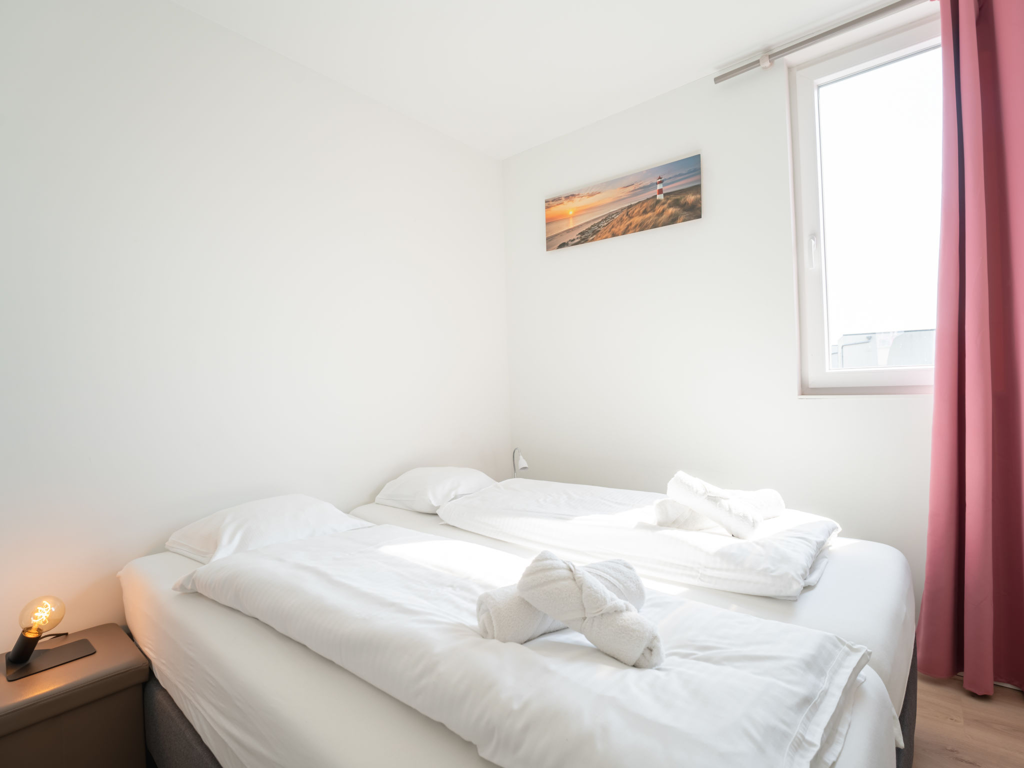 Photo of New Dahlia 8