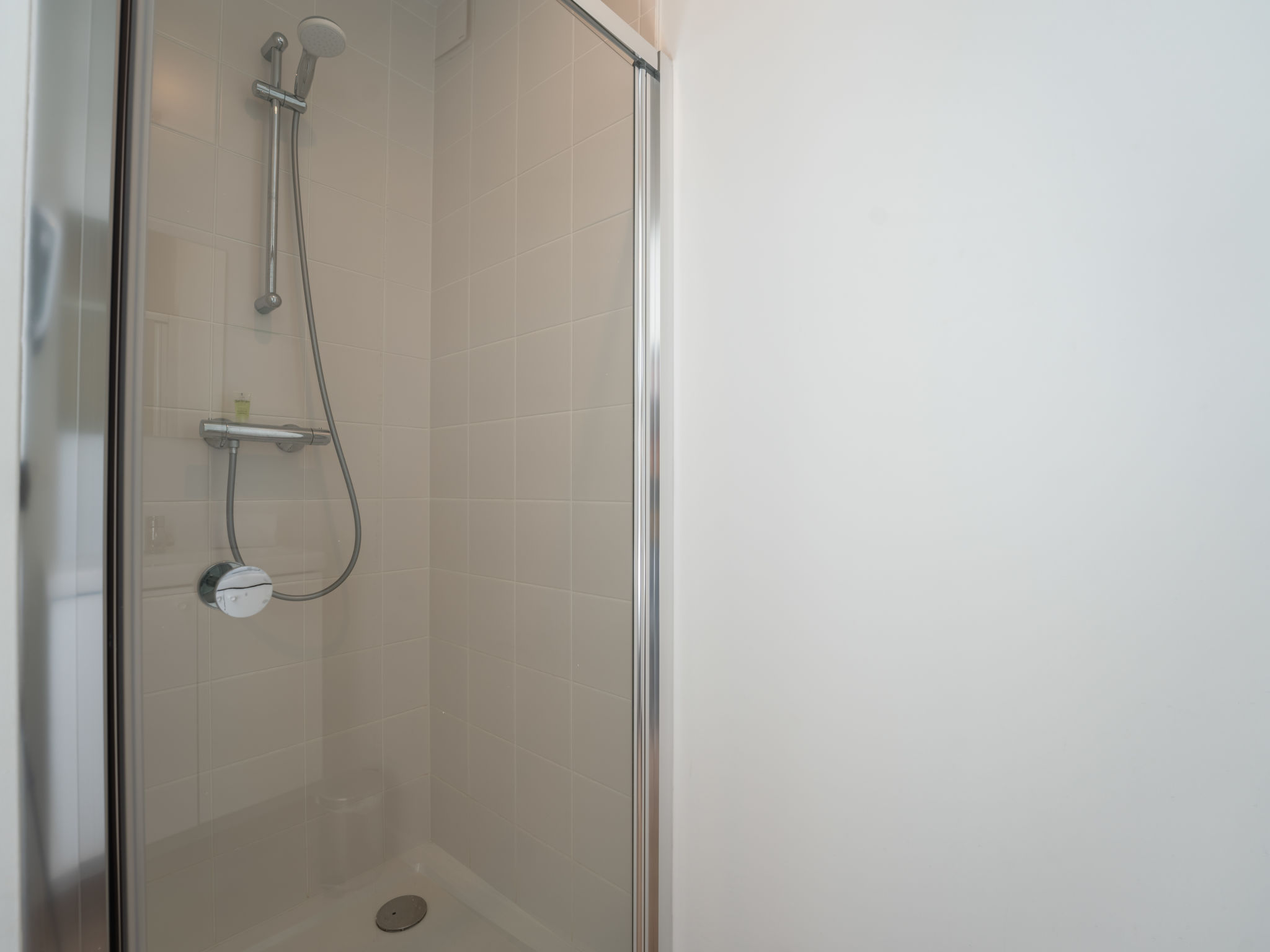 Photo of New Dahlia 8