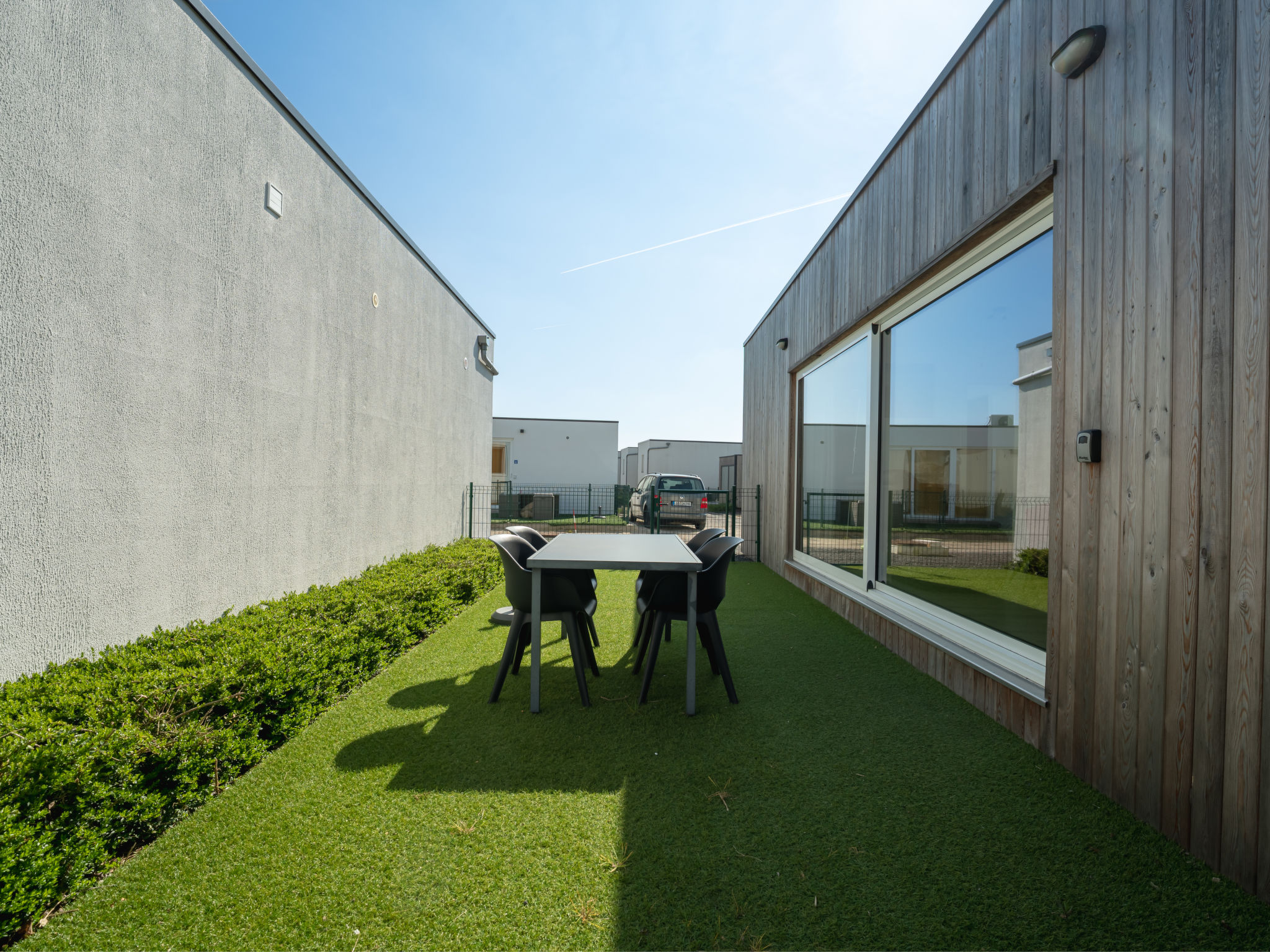 Photo of New Dahlia 8