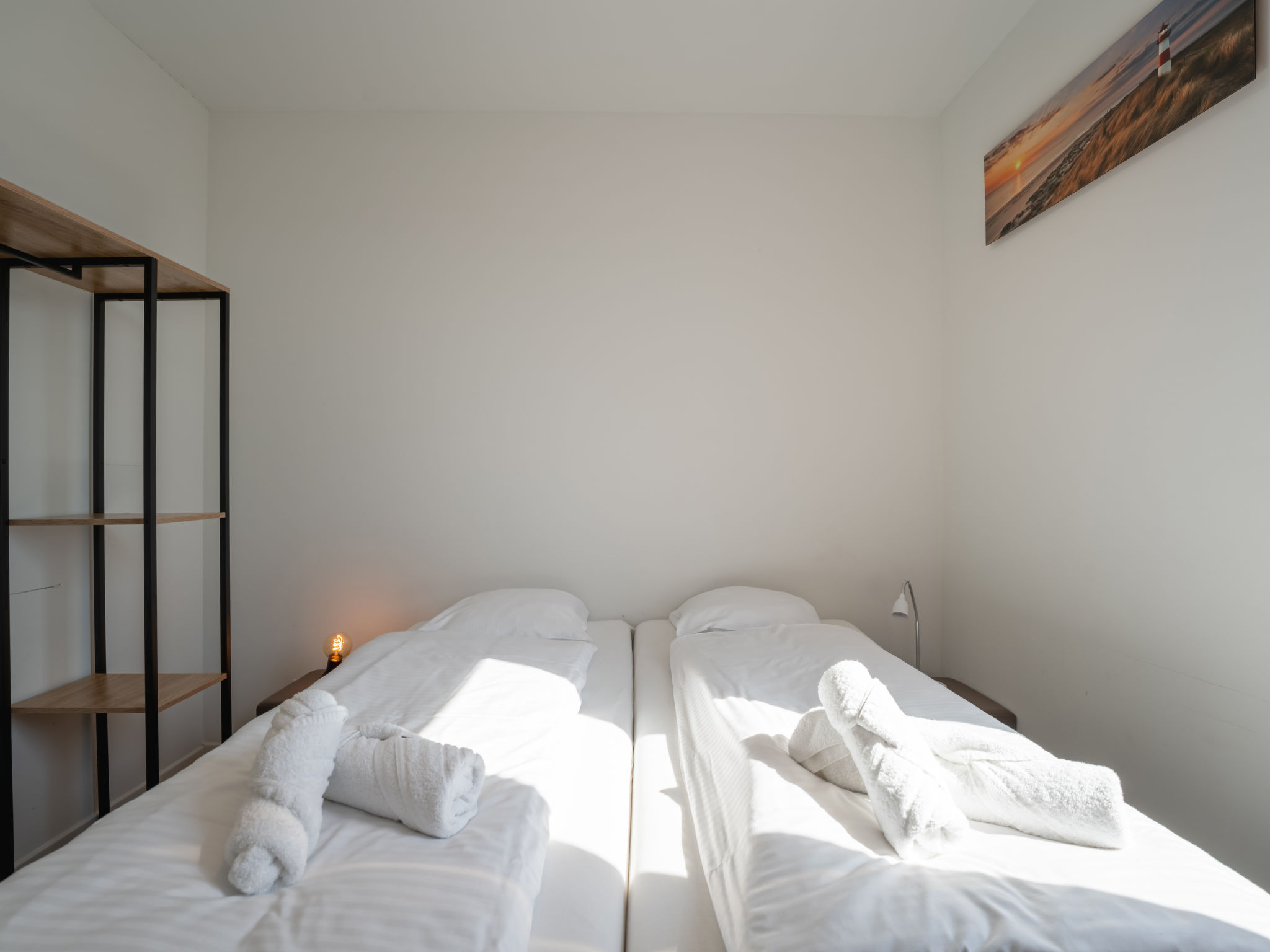 Photo of New Dahlia 8