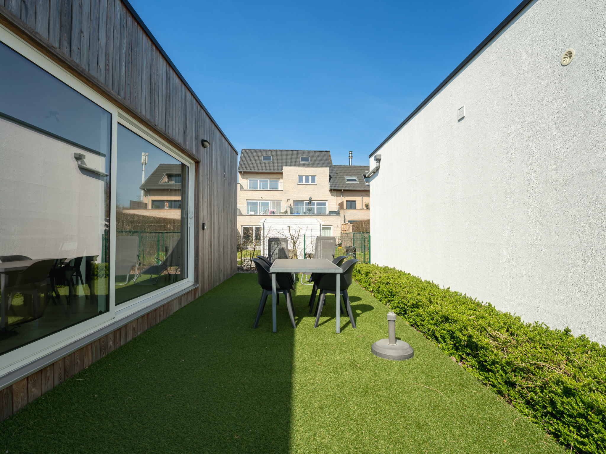 Photo of New Dahlia 8