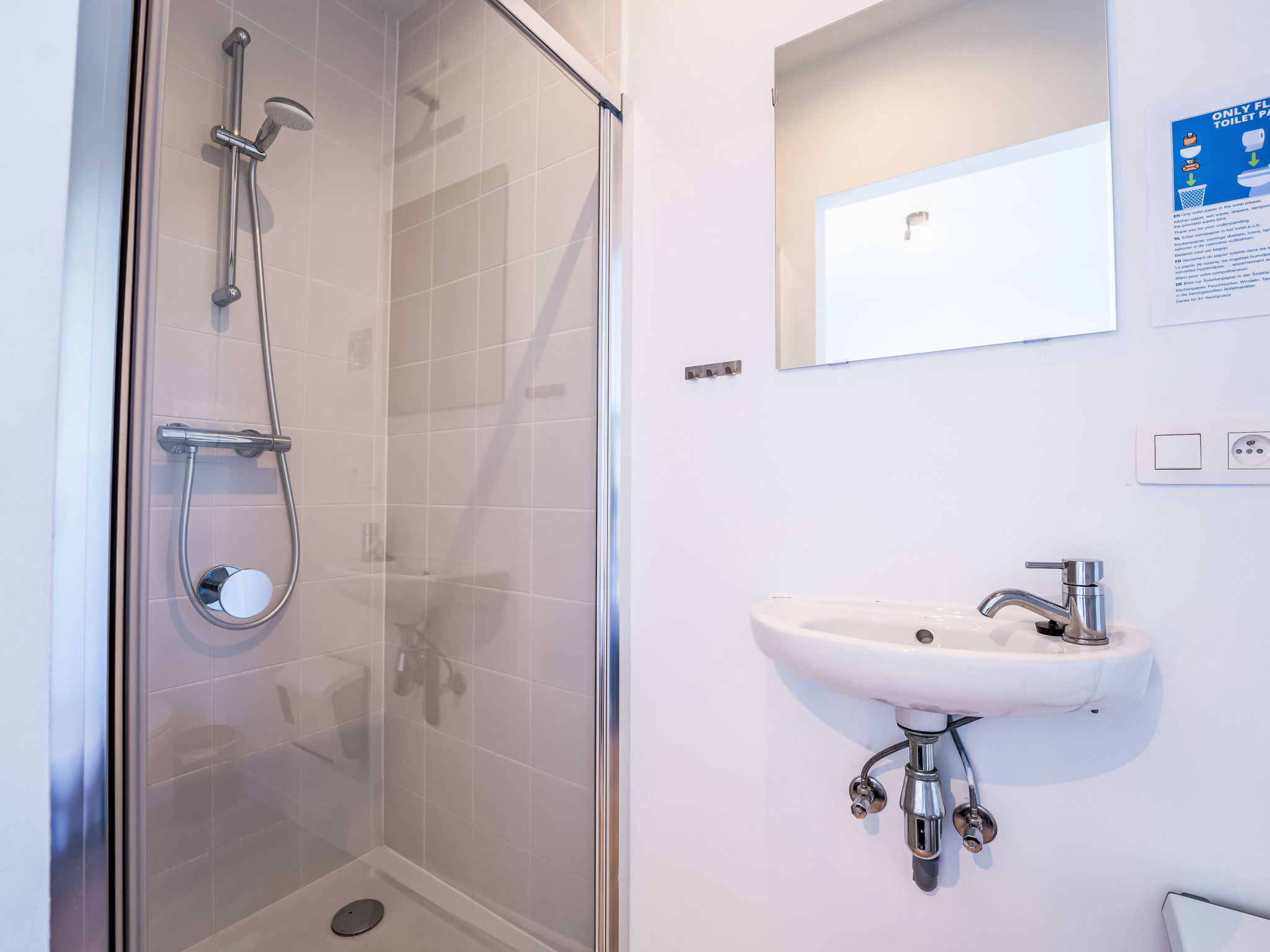 Photo of New Dahlia 15