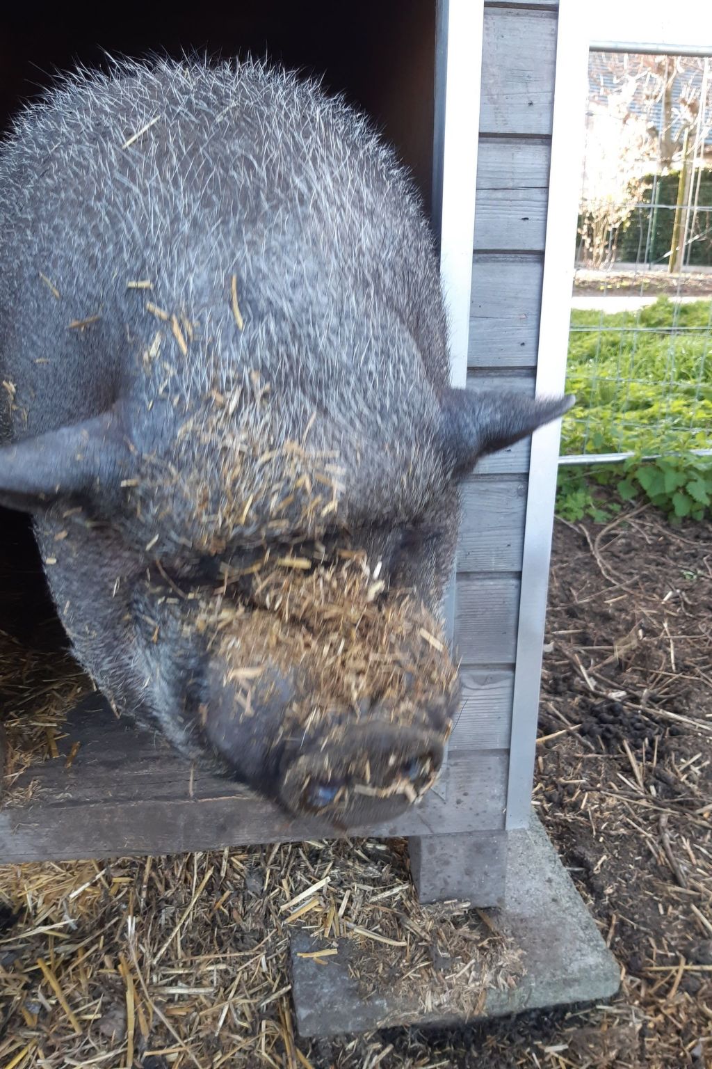 Mit gemeinsamem Pool und Garten-Image-tags.info