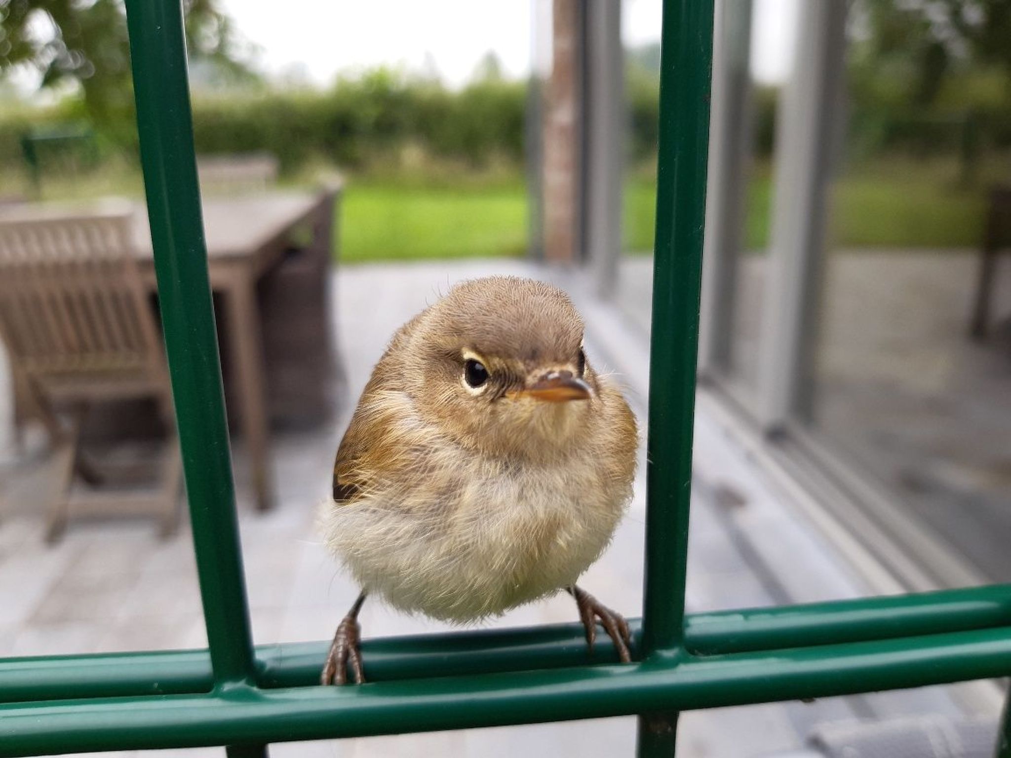 Mit gemeinsamem Pool und Garten-Image-tags.info