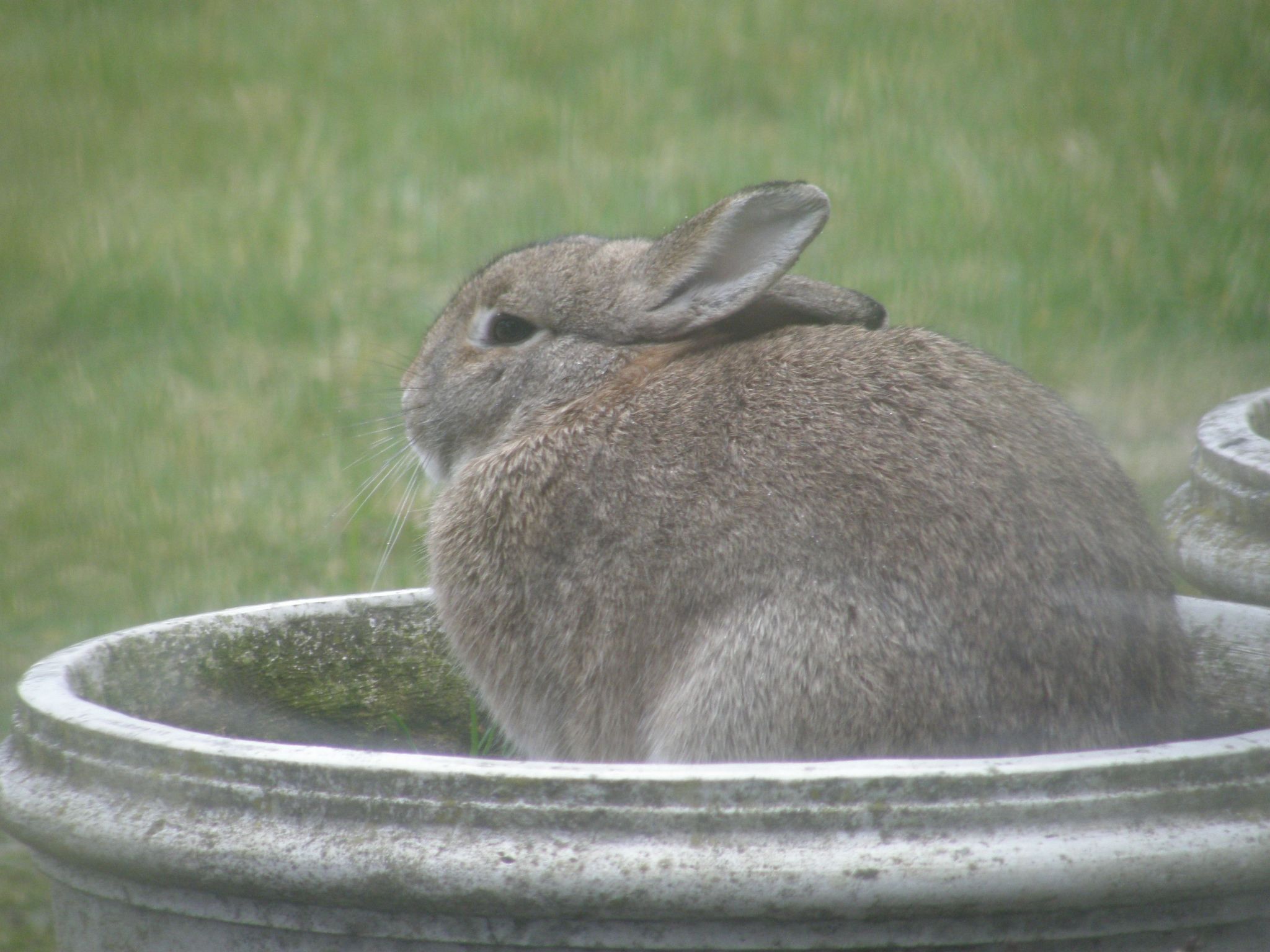 Mit gemeinsamem Pool und Garten-Image-tags.info