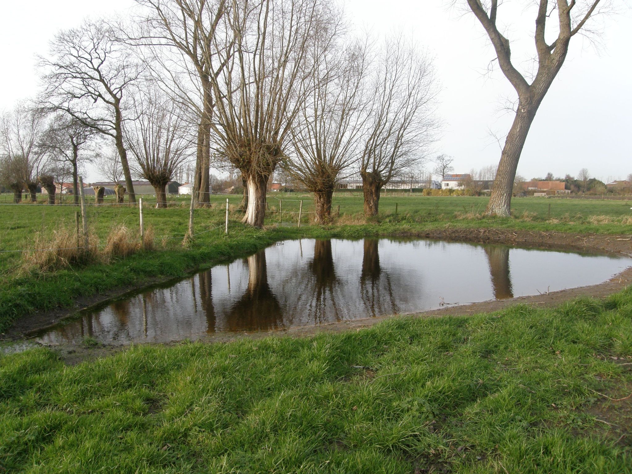 Blackthorn für 6 Personen-Image-tags.info