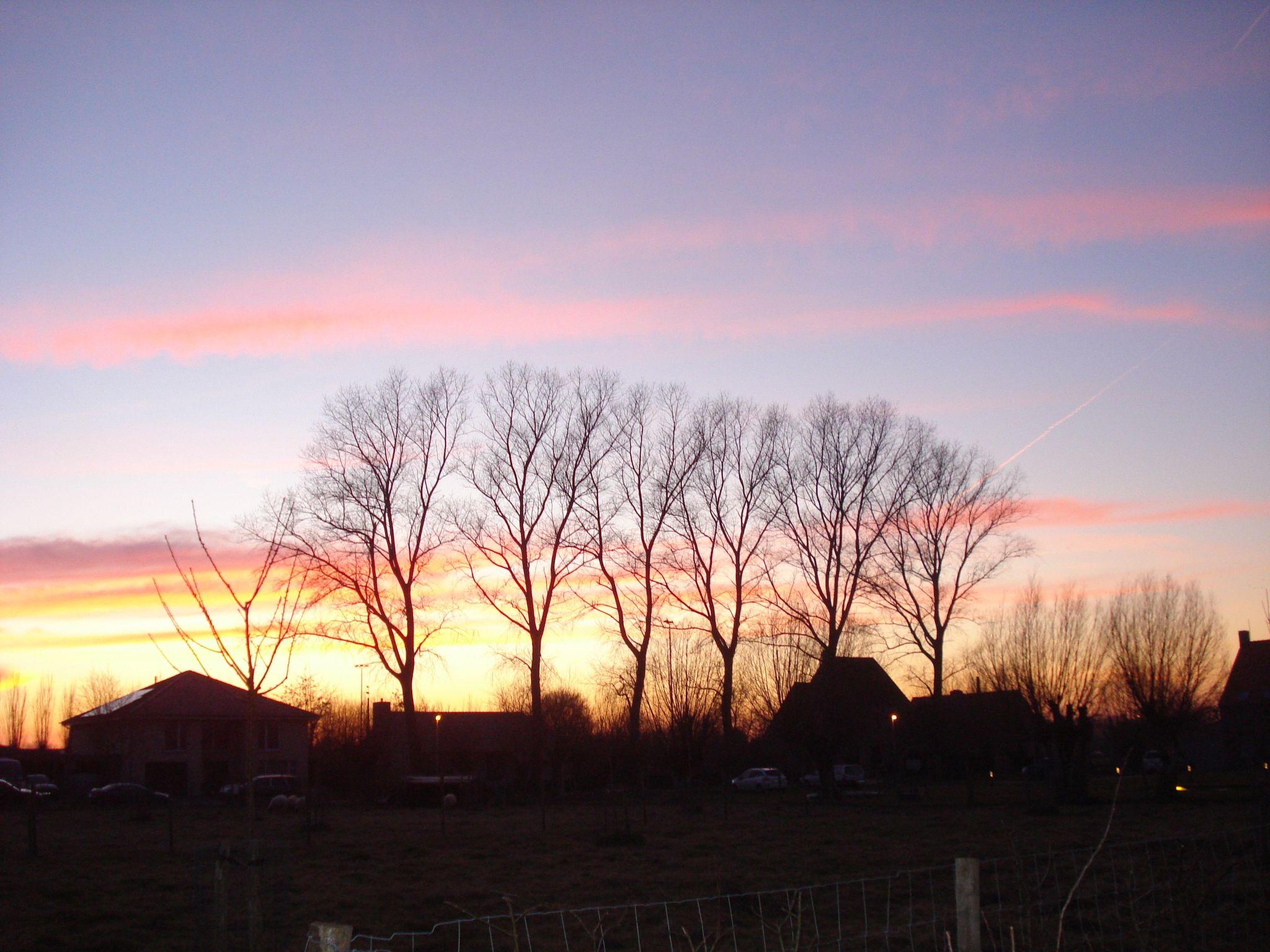 Blackthorn für 6 Personen-Image-tags.info