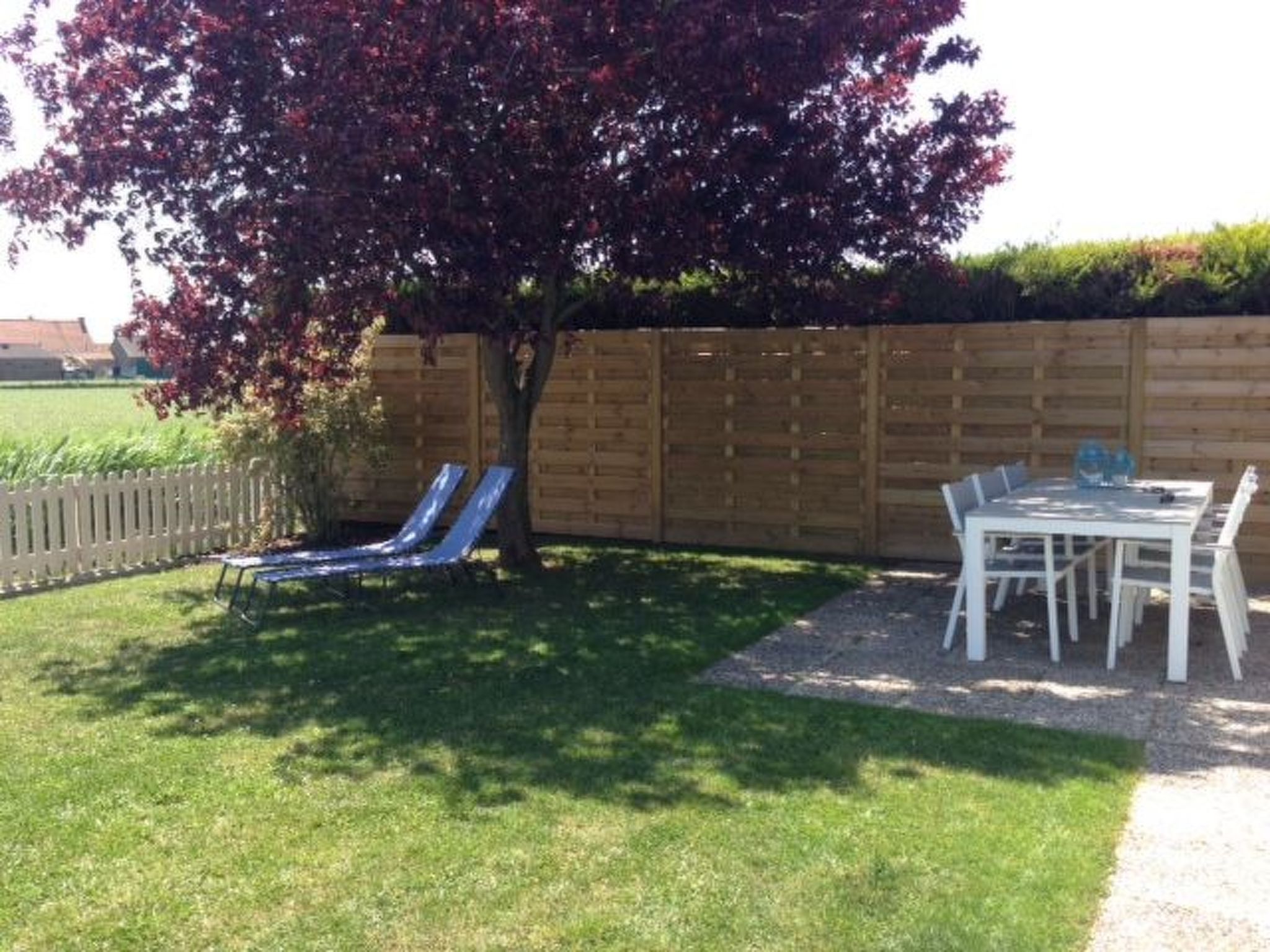 Polderwind mit Blick auf die Felder
