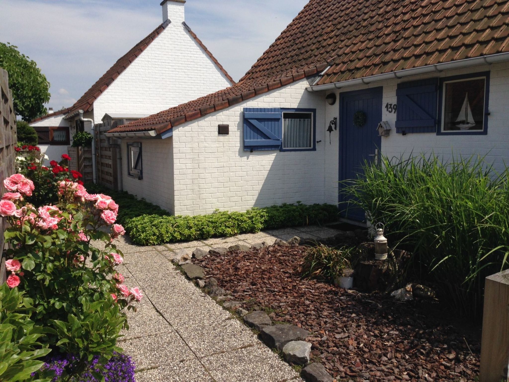 Zonneweelde bei Dünen und Wald-Inside
