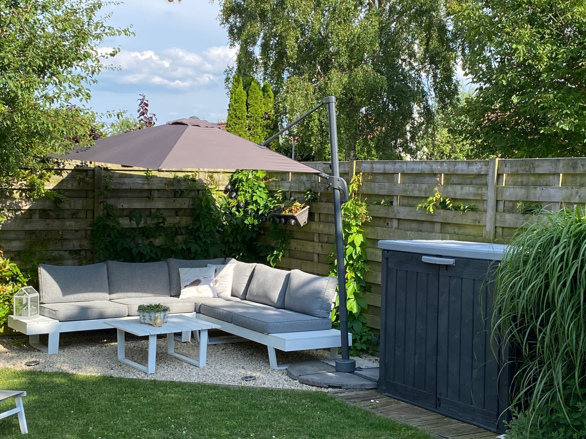 Zonneweelde bei Dünen und Wald