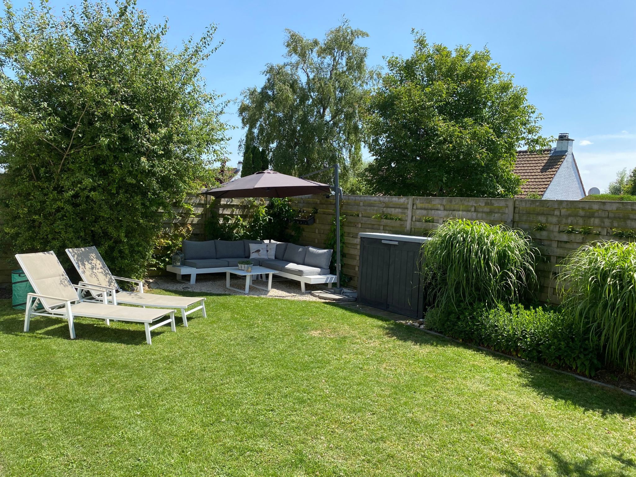 Zonneweelde bei Dünen und Wald-Inside