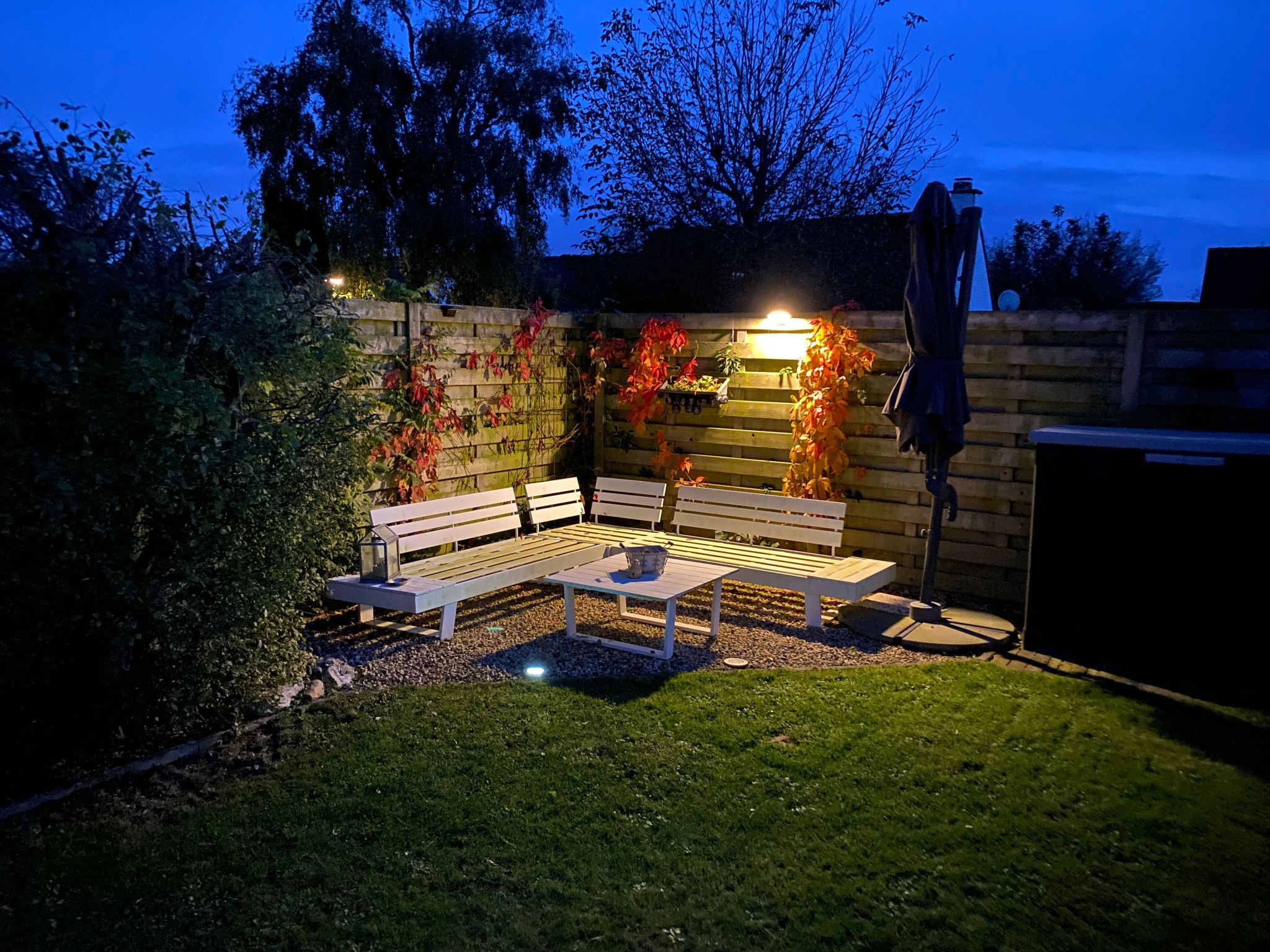 Zonneweelde bei Dünen und Wald-Inside