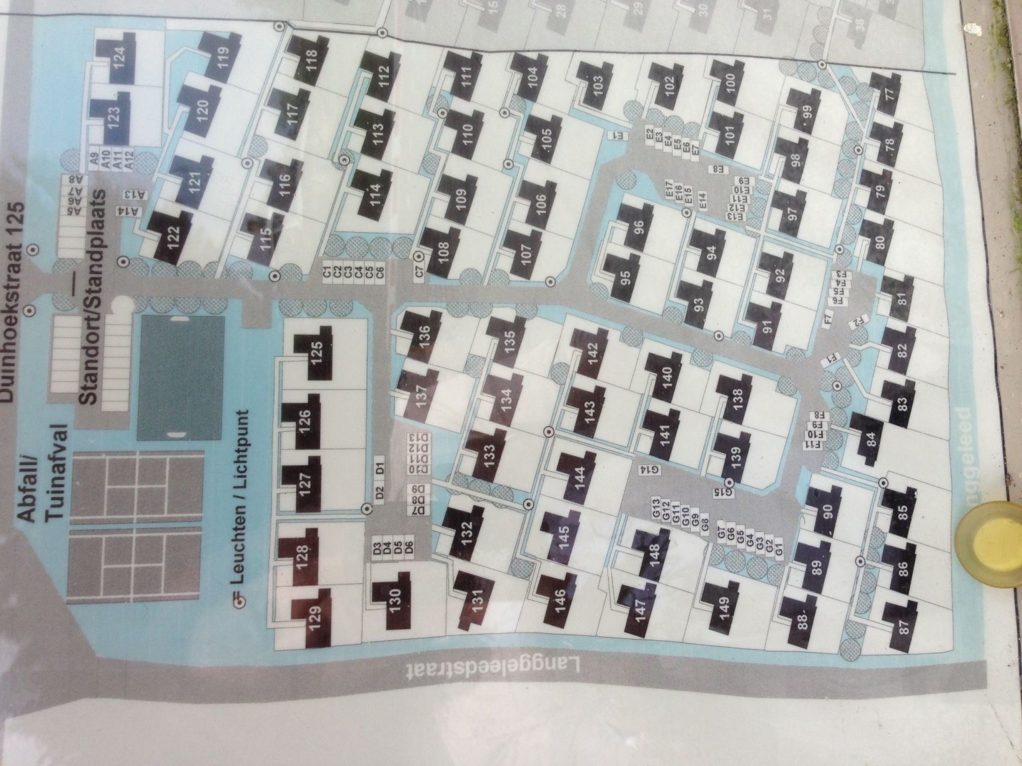 Zonneweelde bei Dünen und Wald-Inside