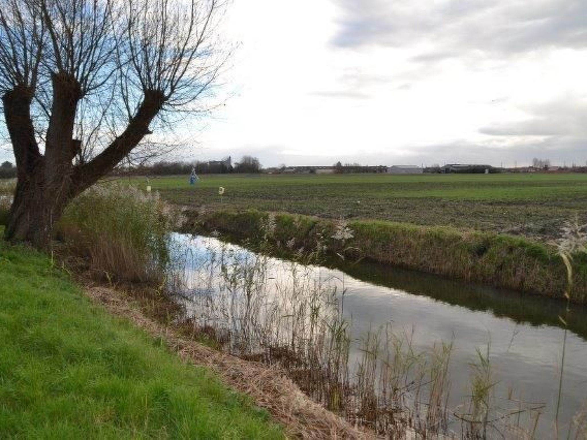 Windekind mit Blick auf die Felder-Inside