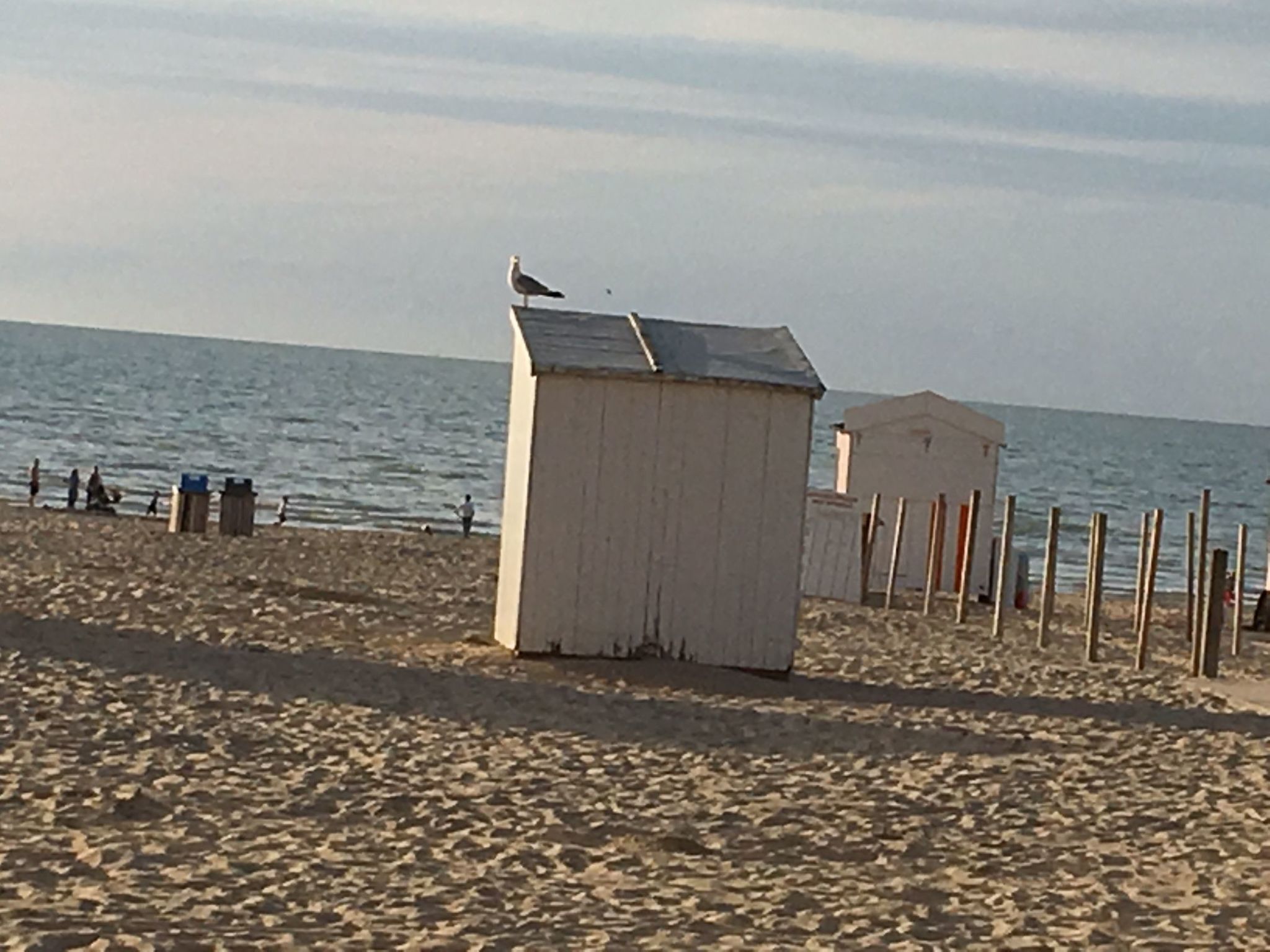 Windekind mit Blick auf die Felder-Inside