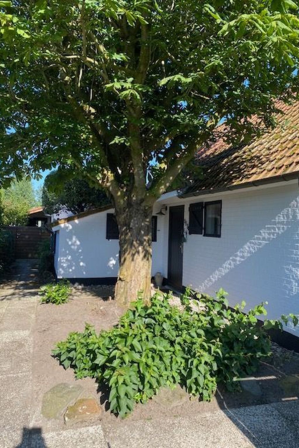 Zonnewind in der Nähe von Dünen und Wald-Inside