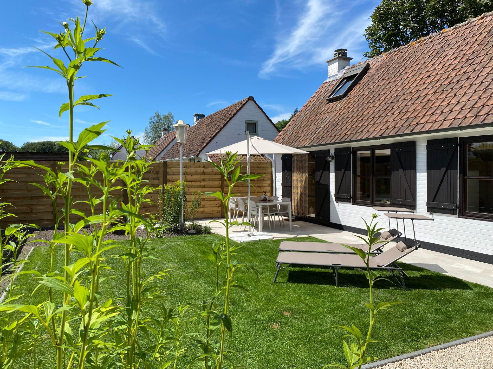 Zonnewind in der Nähe von Dünen und Wald-Inside
