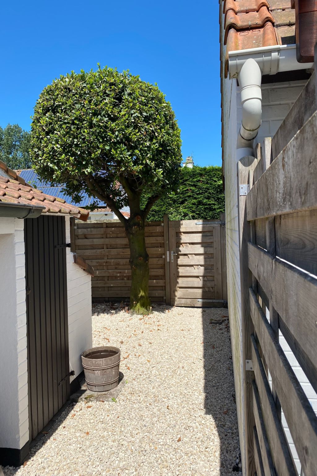 Zonnewind in der Nähe von Dünen und Wald