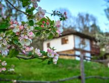 4-persoons vakantiehuis in Selishte met prachtig bergzicht - thumbnail 5