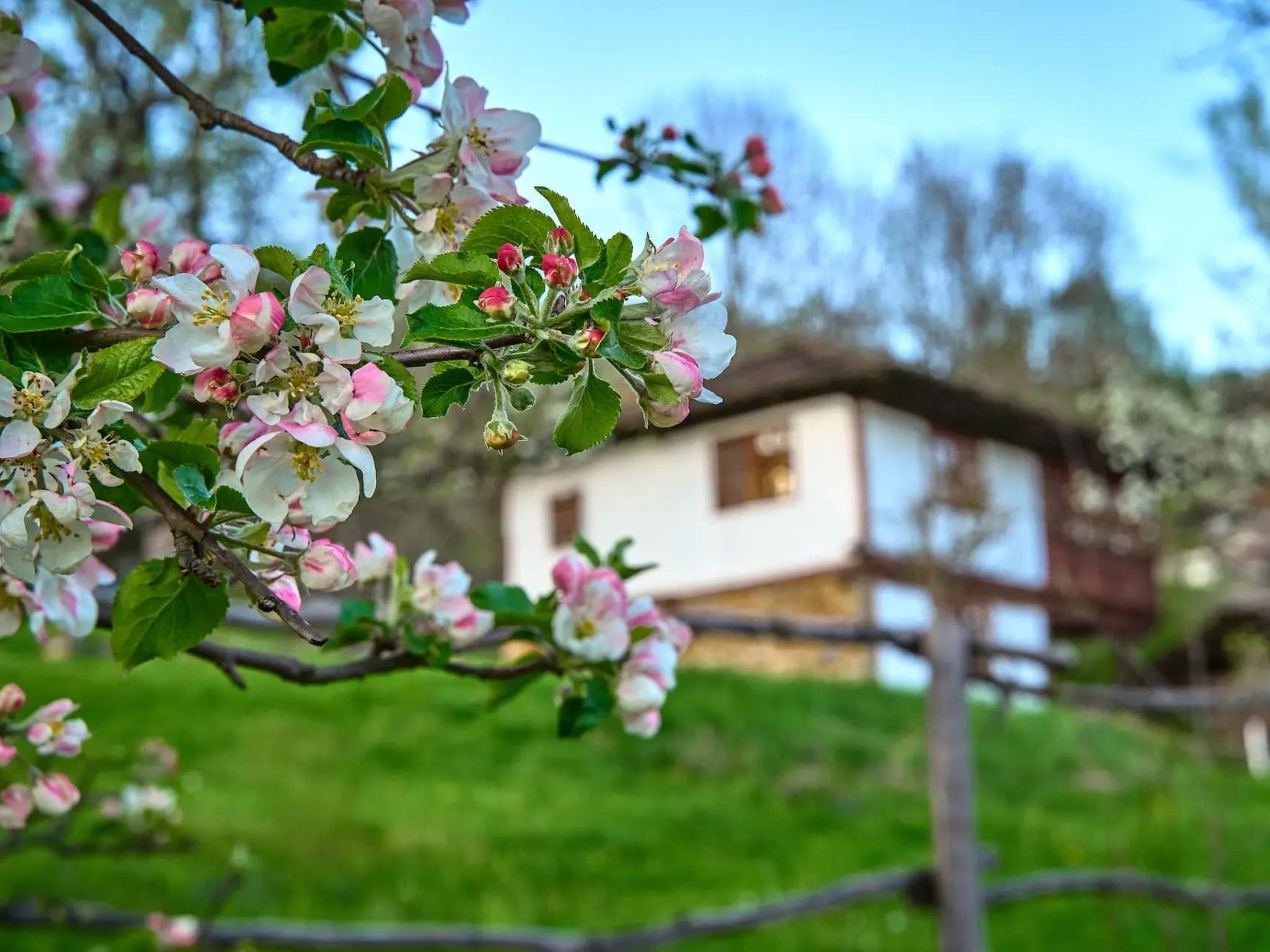 Authentisches Haus mit Bergblick - Karashka-Draußen