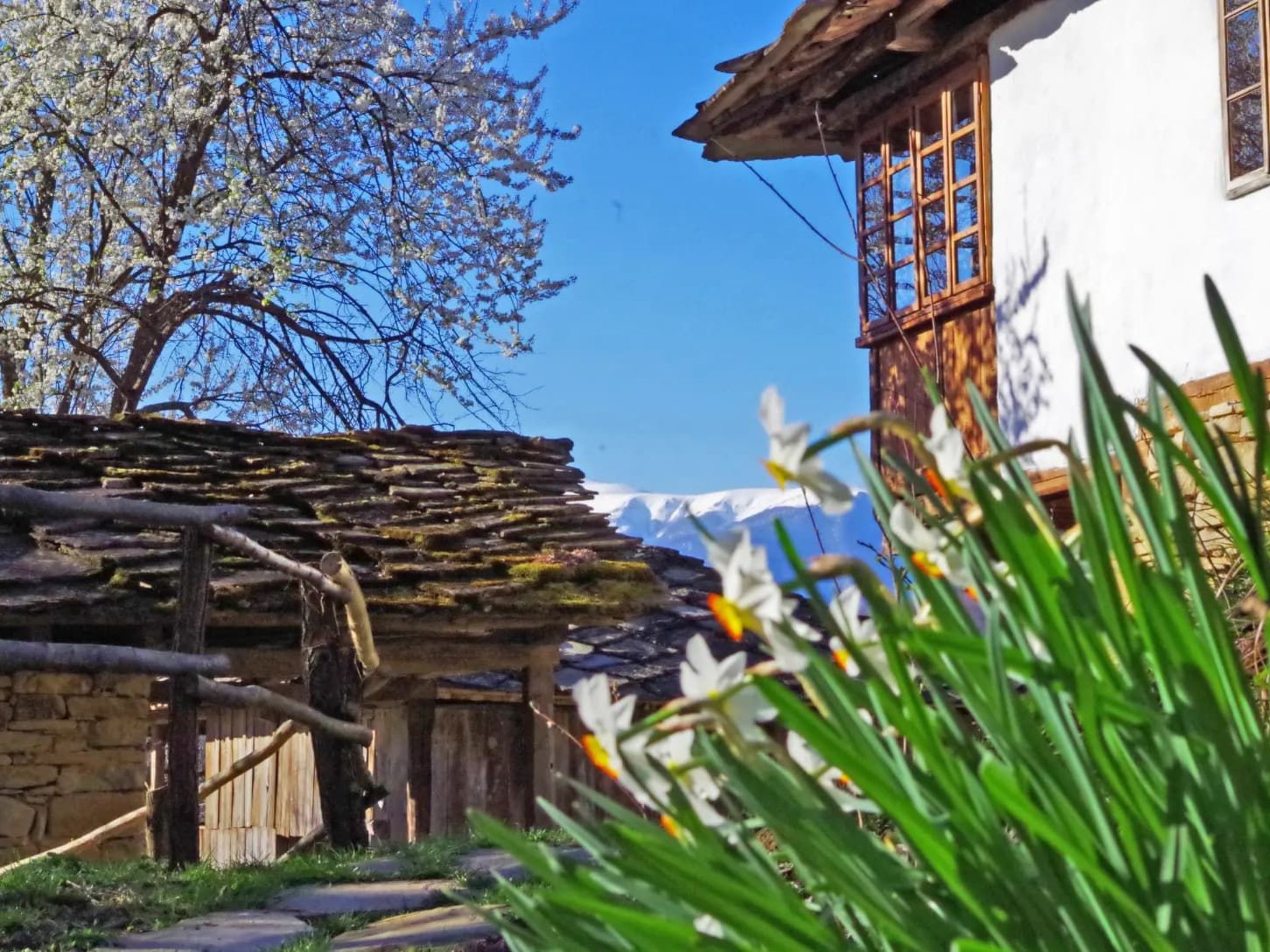 4-persoons vakantiehuis in Selishte met prachtig bergzicht - foto 16