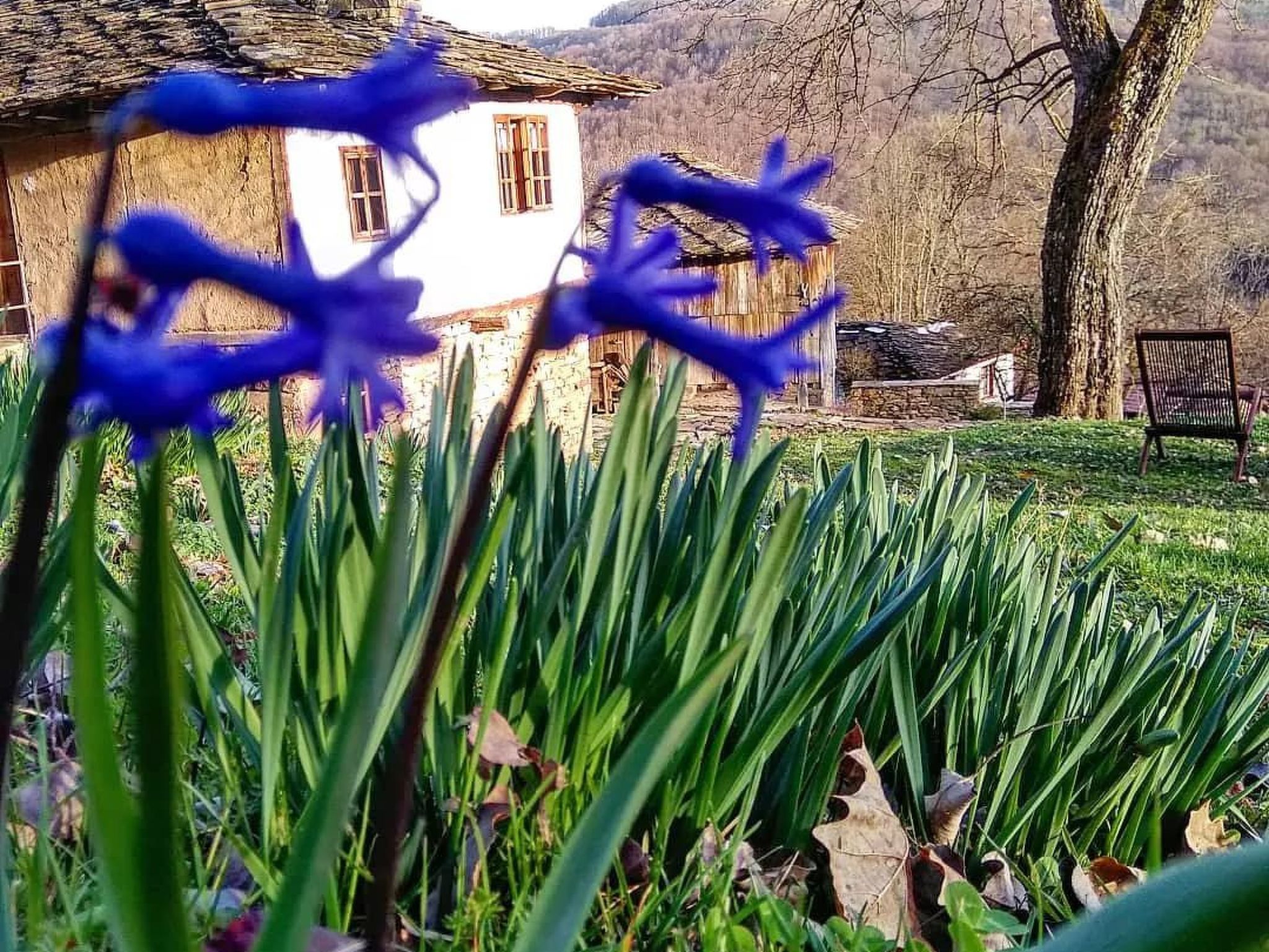 4-persoons vakantiehuis in Selishte met prachtig bergzicht - foto 20