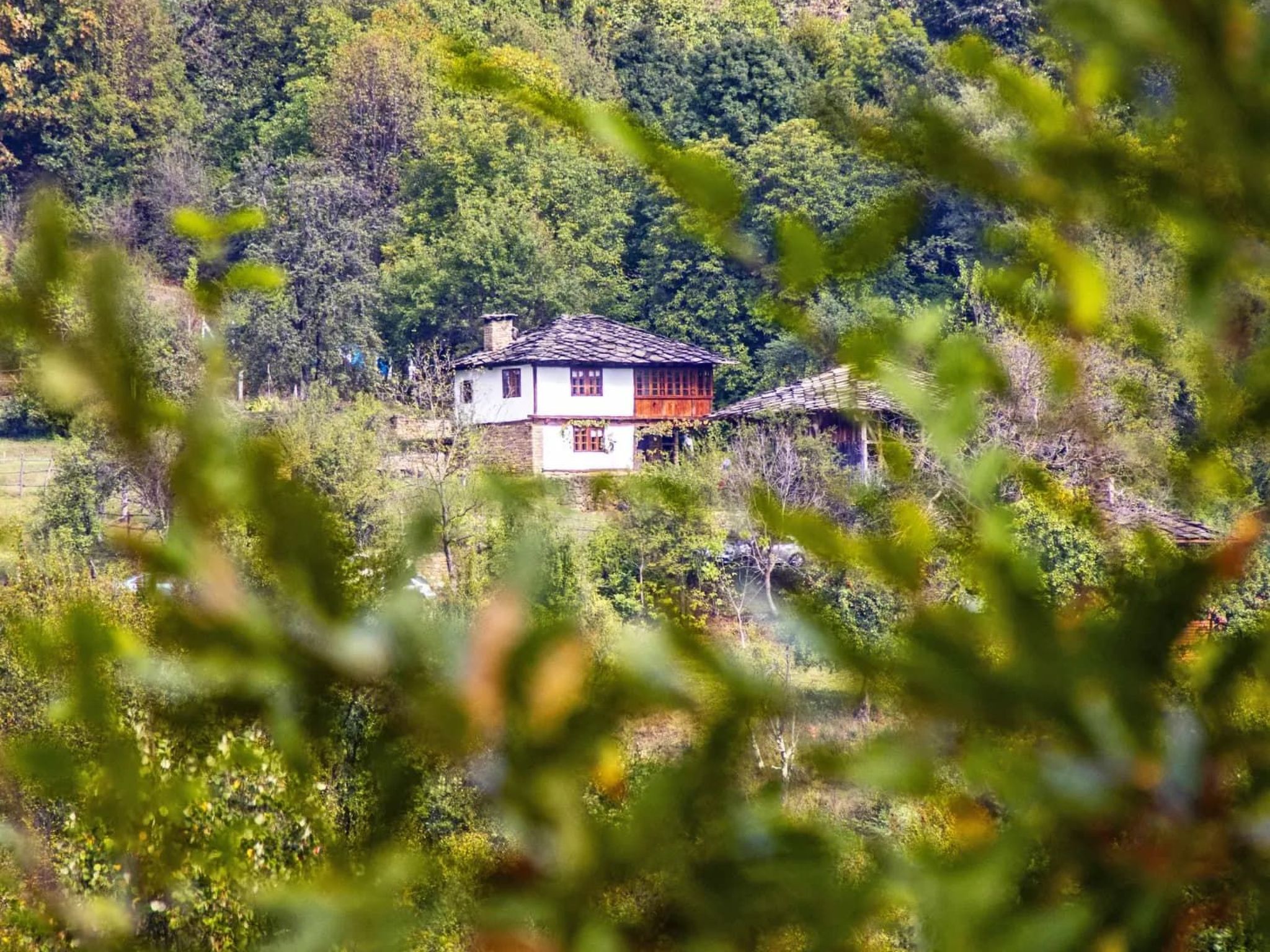 4-persoons vakantiehuis in Selishte met prachtig bergzicht - foto 22