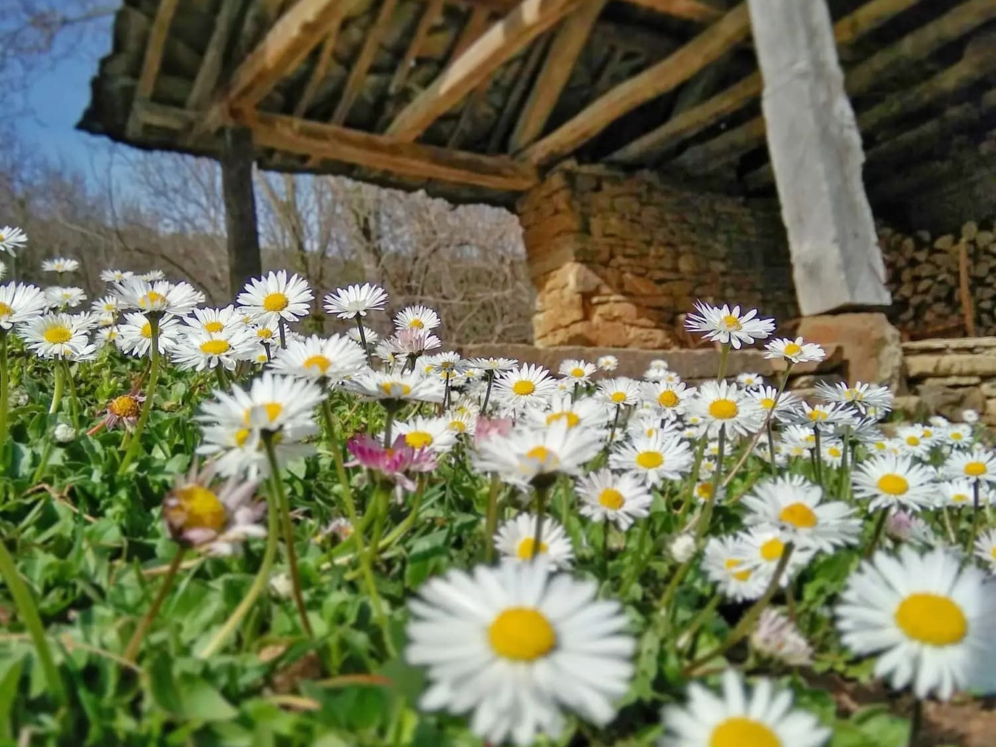 4-persoons vakantiehuis in Selishte met prachtig bergzicht - foto 24