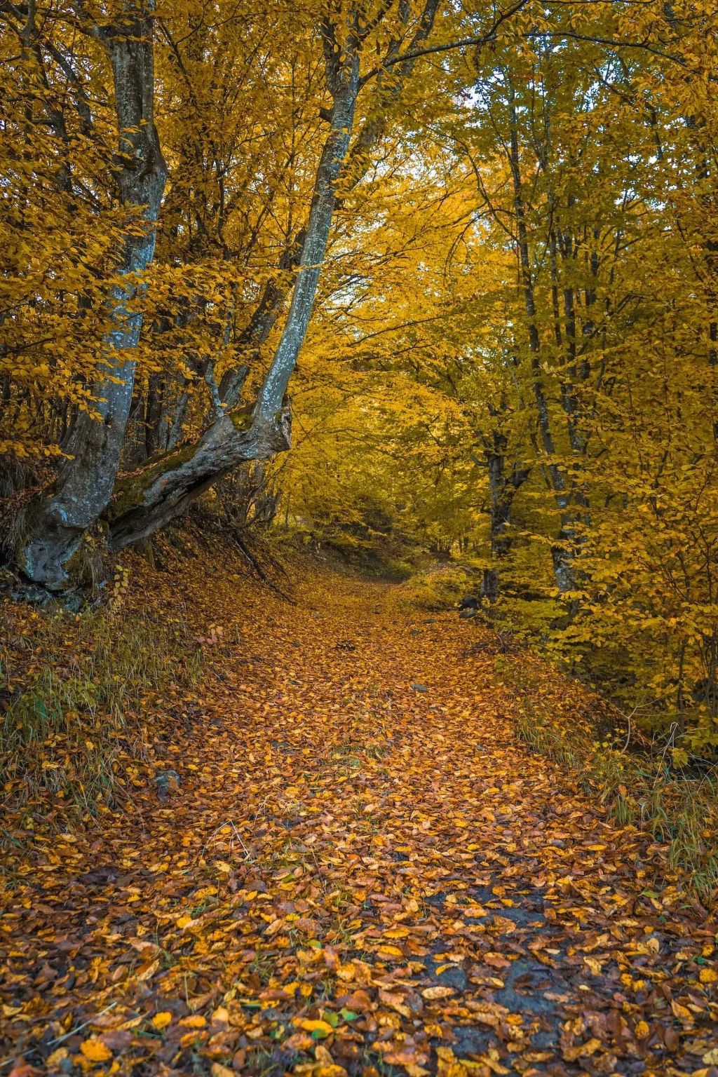 Authentisches Haus mit Bergblick - Karashka