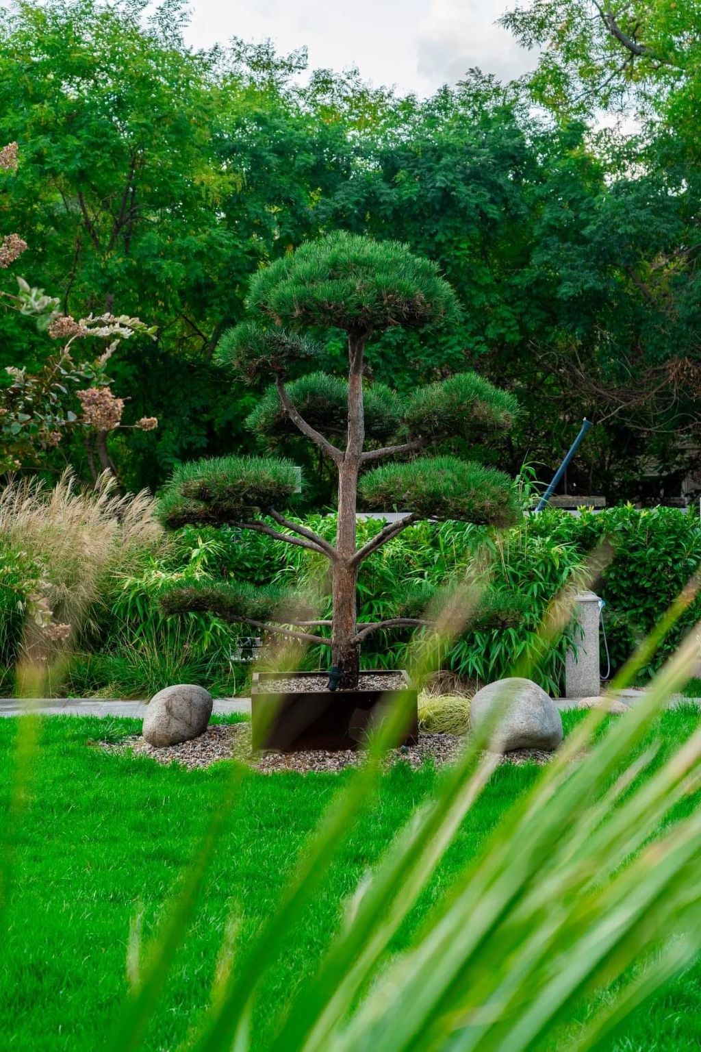 Ateliers Allure Varna