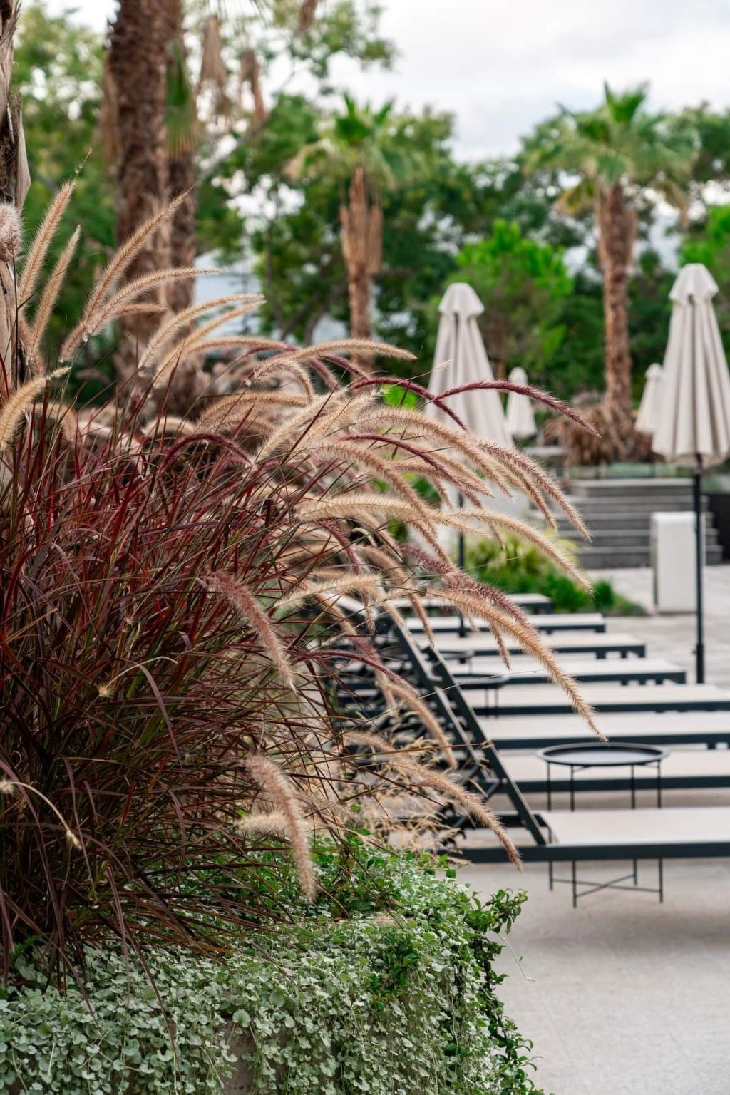 Ateliers Allure Varna