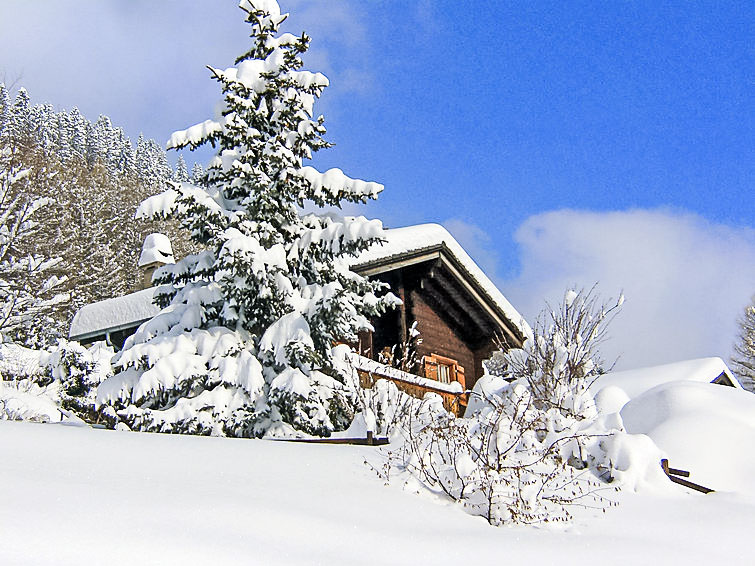 Rekreační dům Chalet 1004