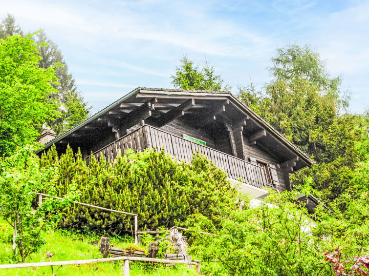 6-persoons chalet met bergzicht in Moléson-sur-Gruyères in Moléson-sur-Gruyères
