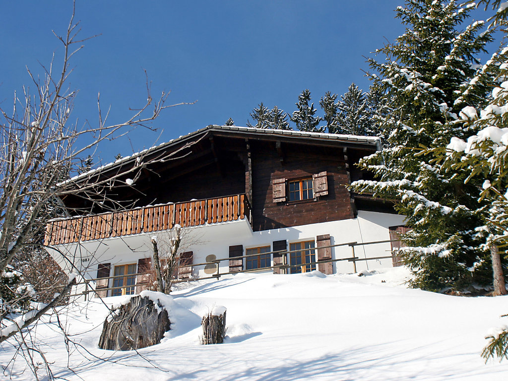 Ferienhaus Chalet Les 3 Marmottes Ferienhaus in der Schweiz