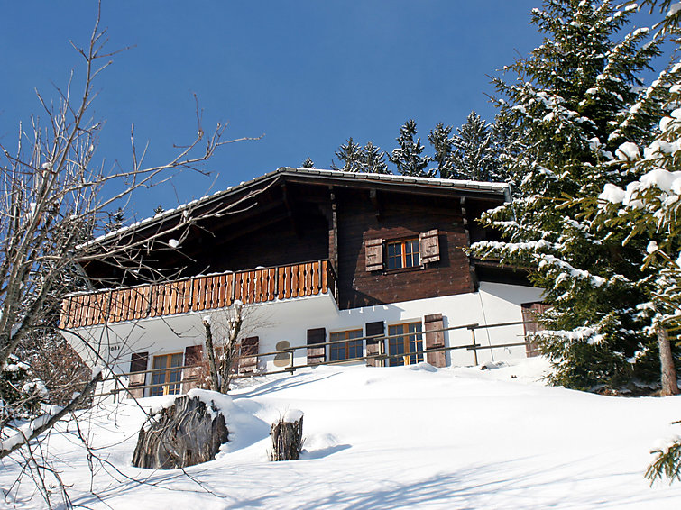 Feriehus Chalet Les 3 Marmottes