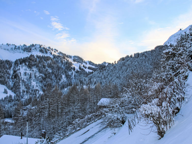 Holiday Rental Accommodation